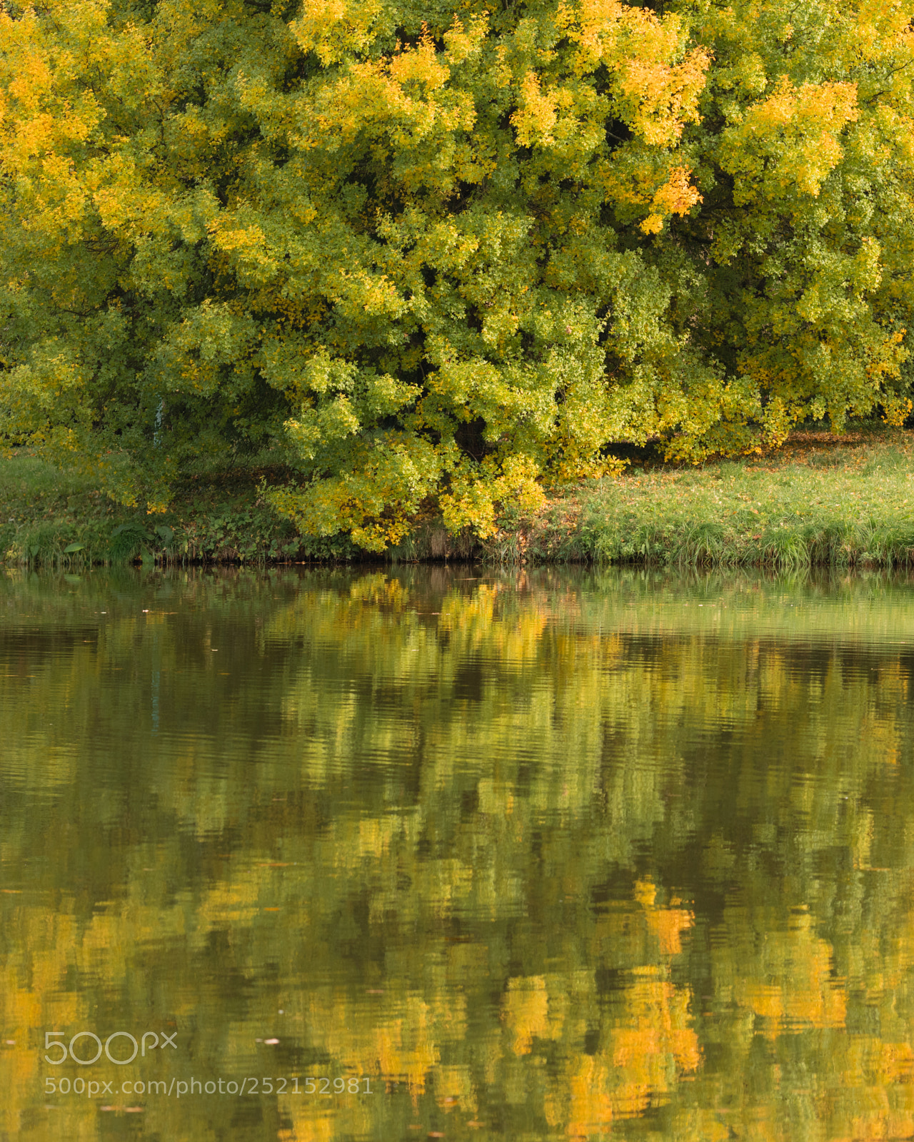Nikon D850 sample photo. Reflection photography