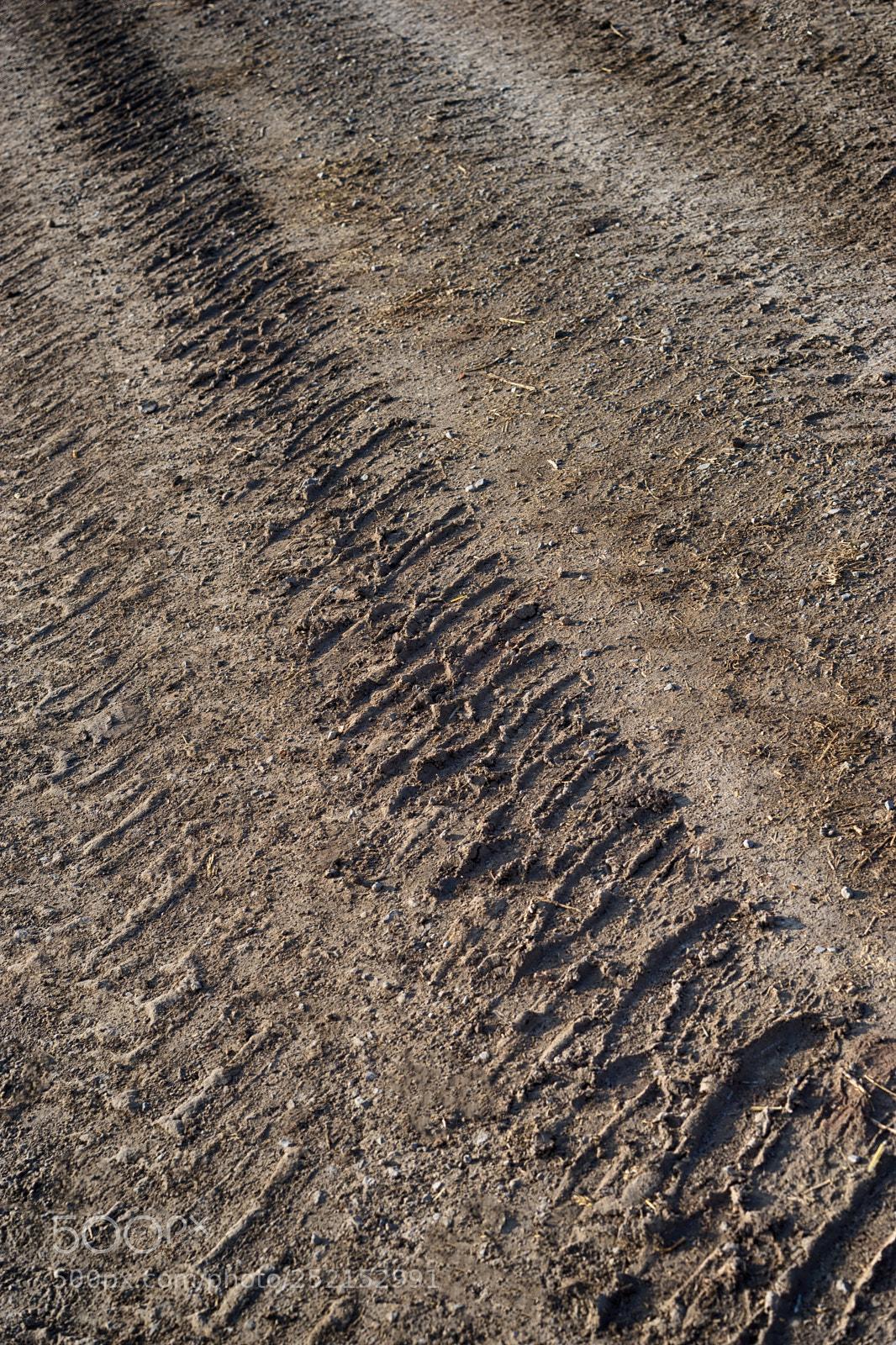Sony a7 sample photo. Brown tire tracks in photography