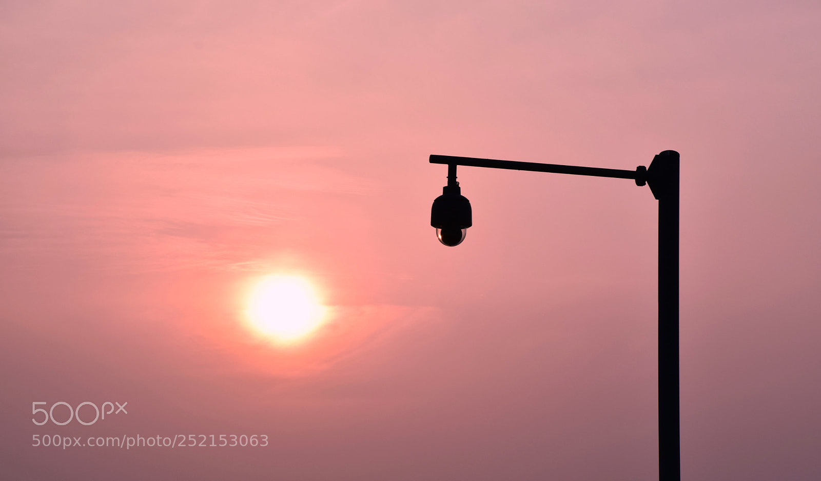Nikon D5300 sample photo. Wait silently photography