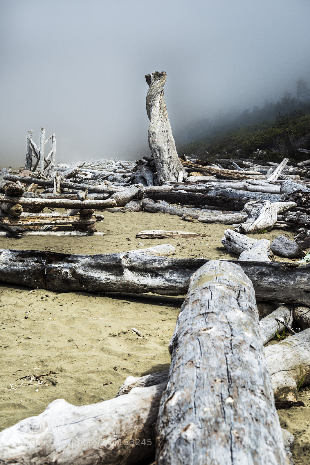 Nikon D800 sample photo. Canada 17 photography