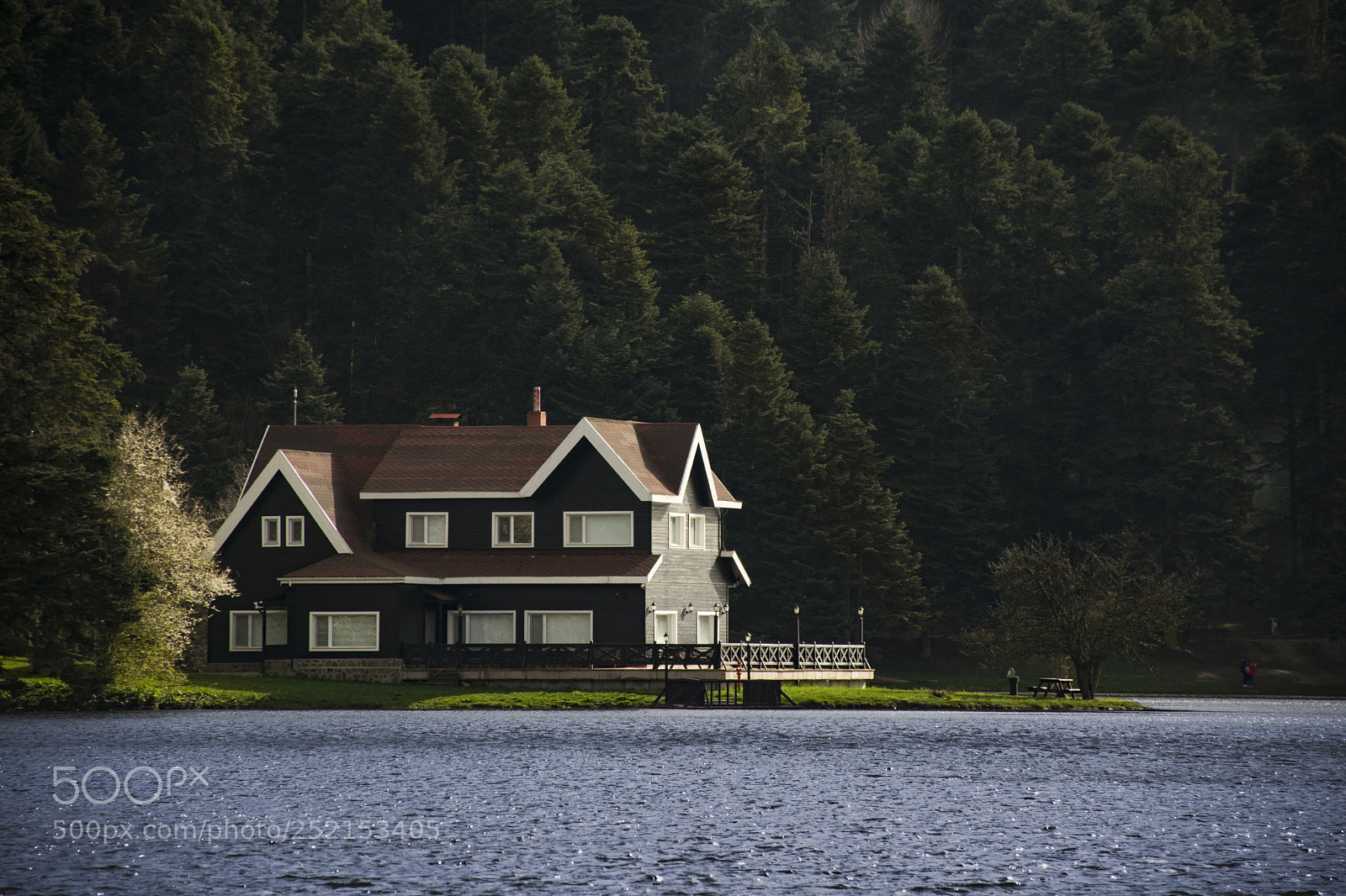 Nikon D5300 sample photo. Abant house photography