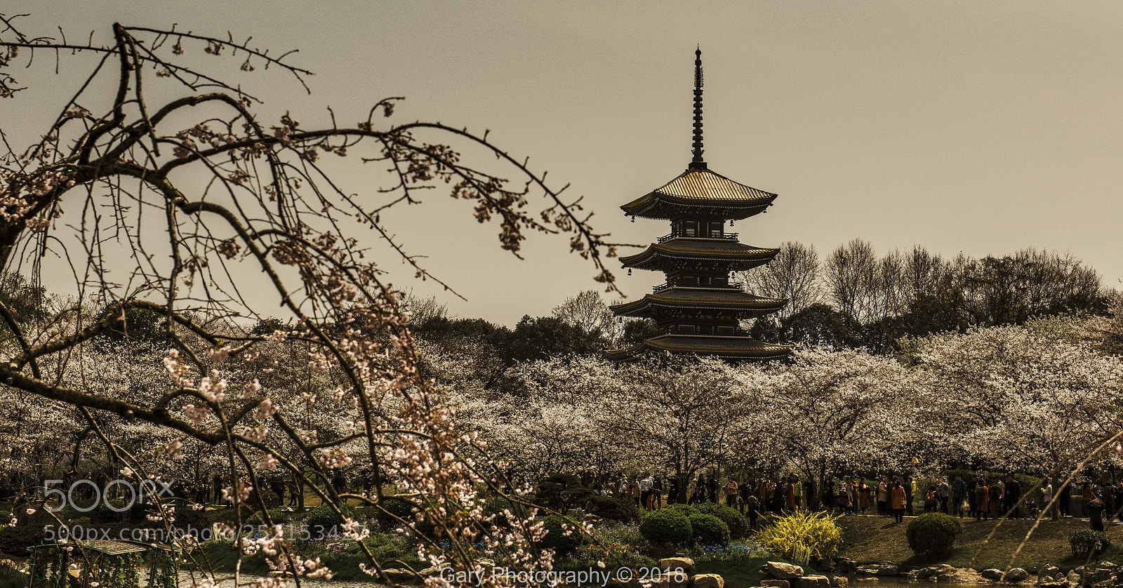Nikon D810 sample photo. 五层塔2 photography