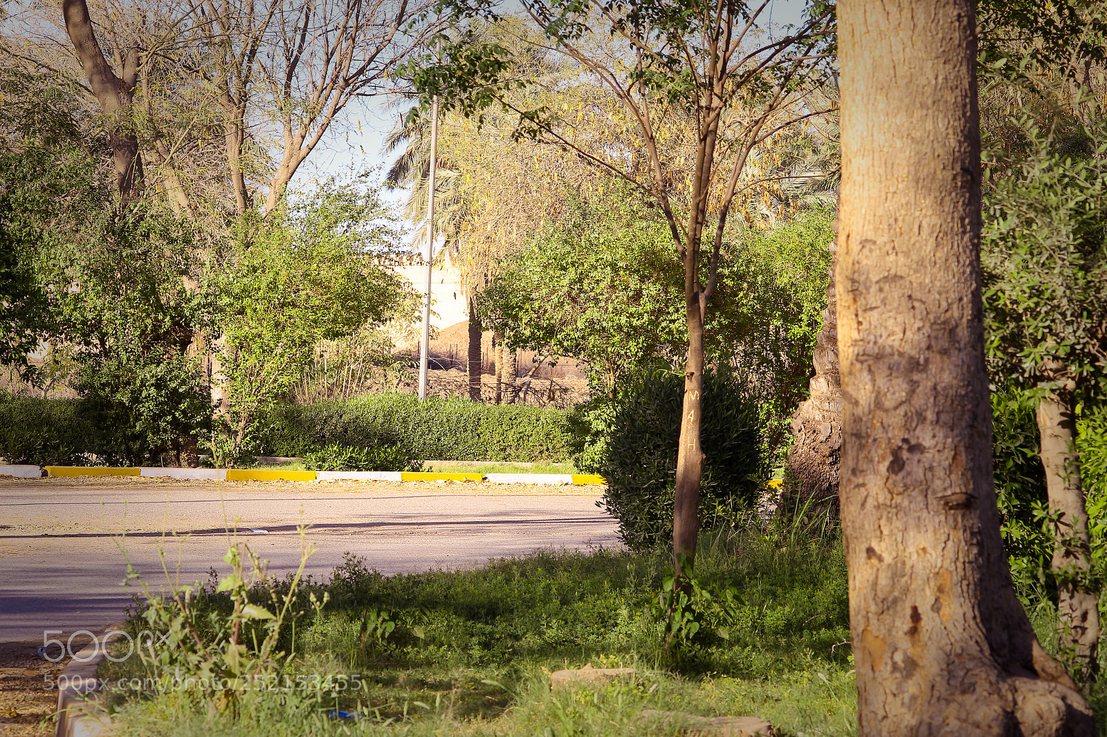 Canon EOS 700D (EOS Rebel T5i / EOS Kiss X7i) sample photo. حدائق منتجع بابل السياحي photography