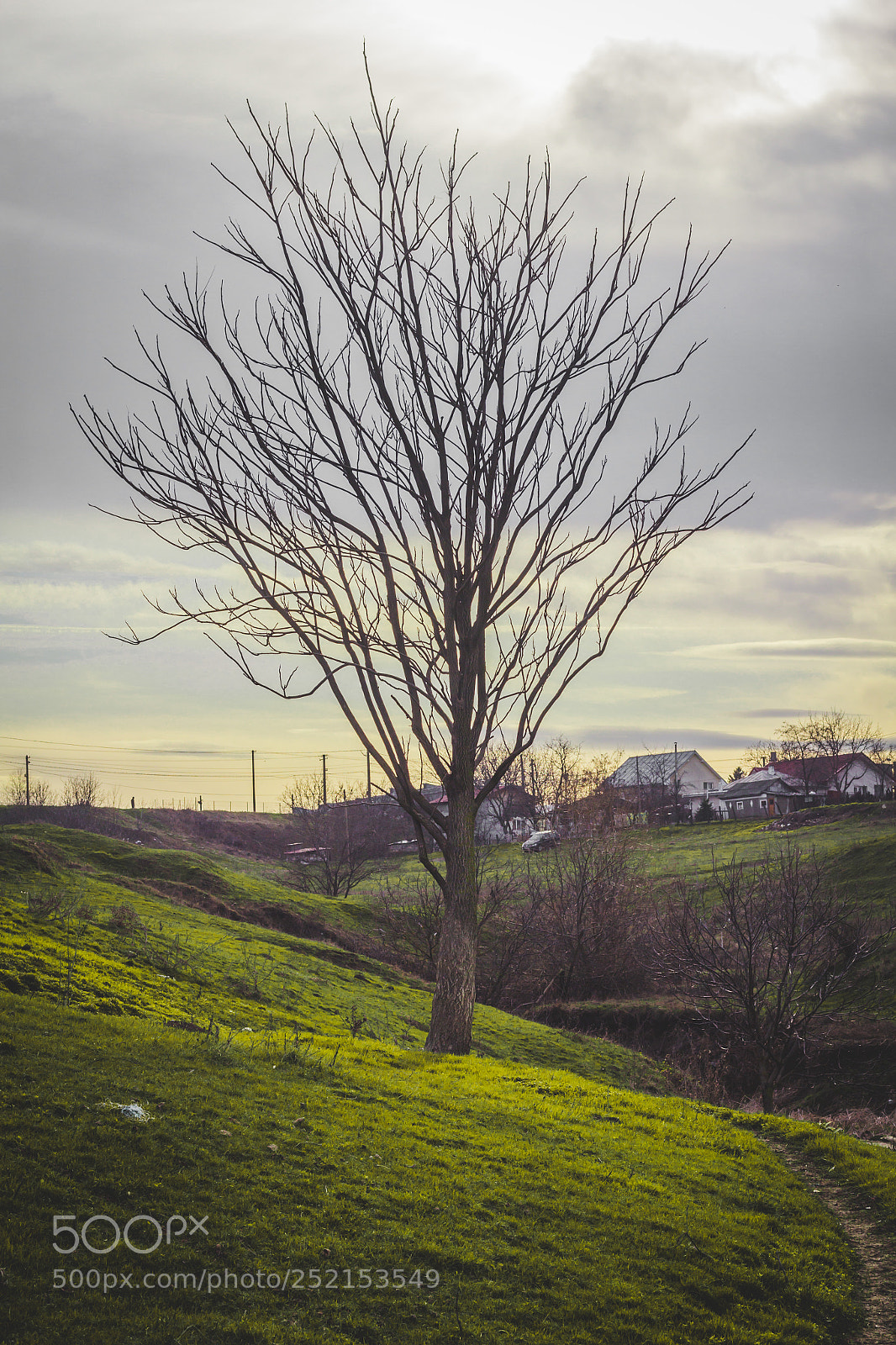 Canon EOS 60D sample photo. Nature photography