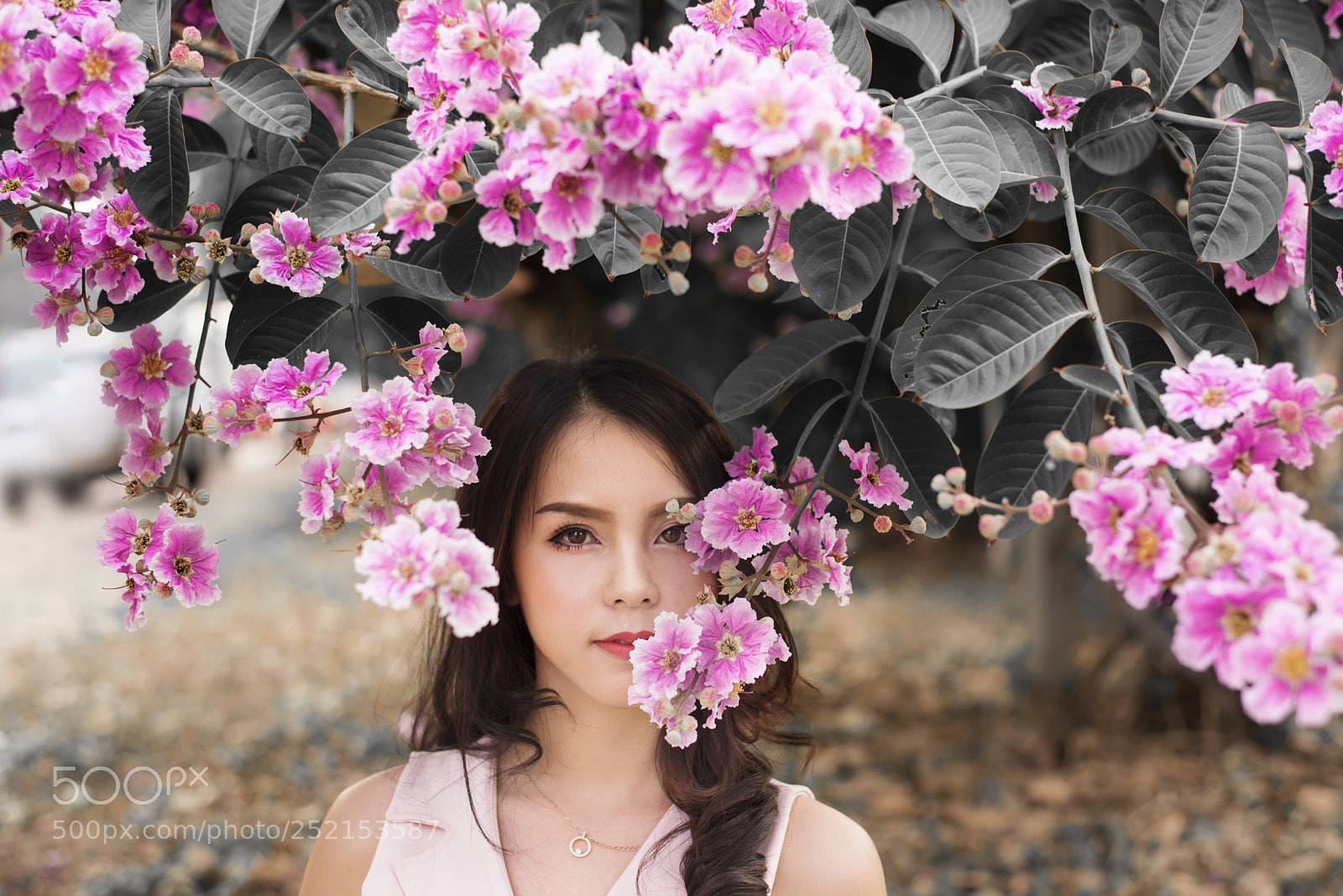 Nikon D810 sample photo. K photography