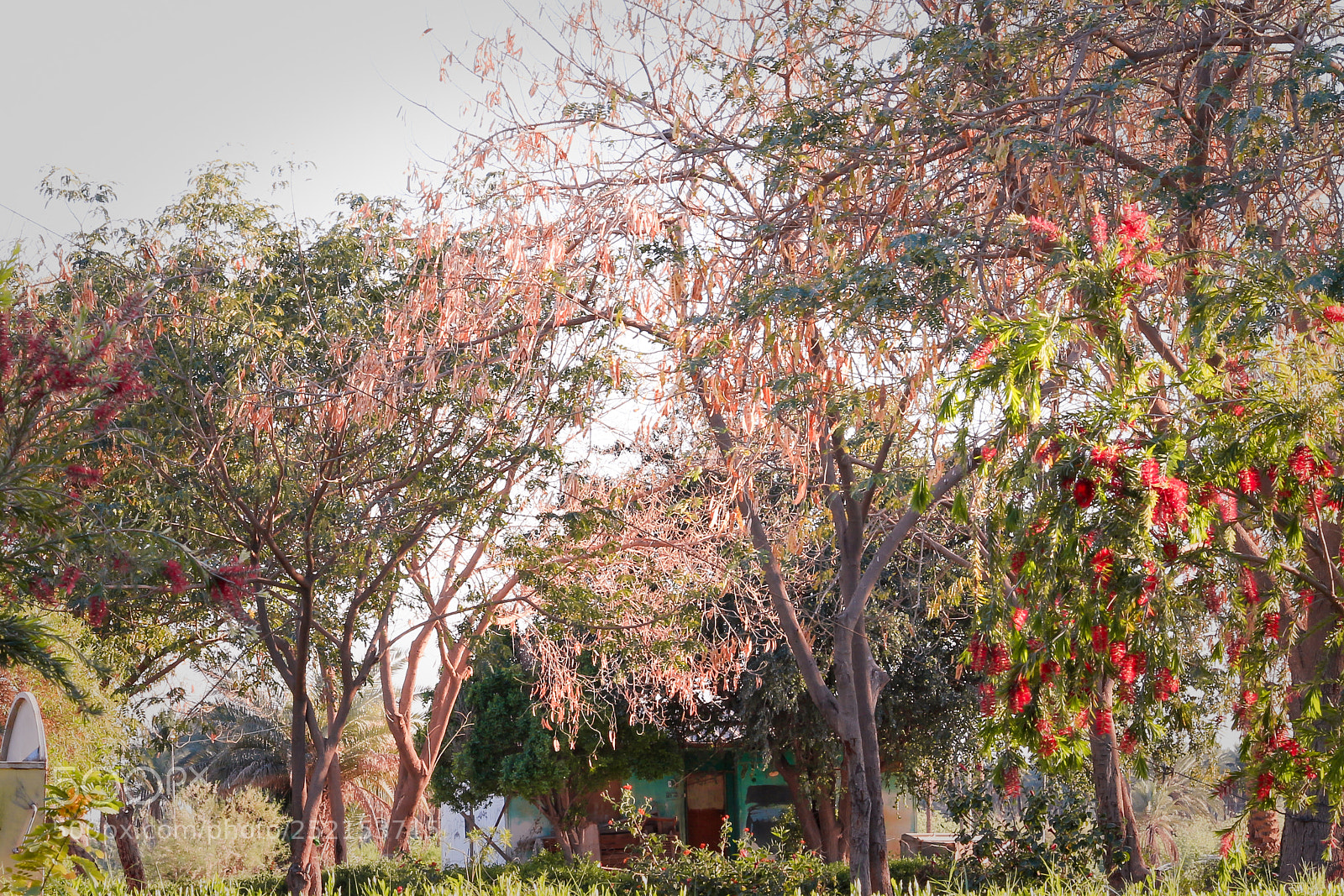 Canon EOS 700D (EOS Rebel T5i / EOS Kiss X7i) sample photo. حدائق منتجع بابل السياحي photography