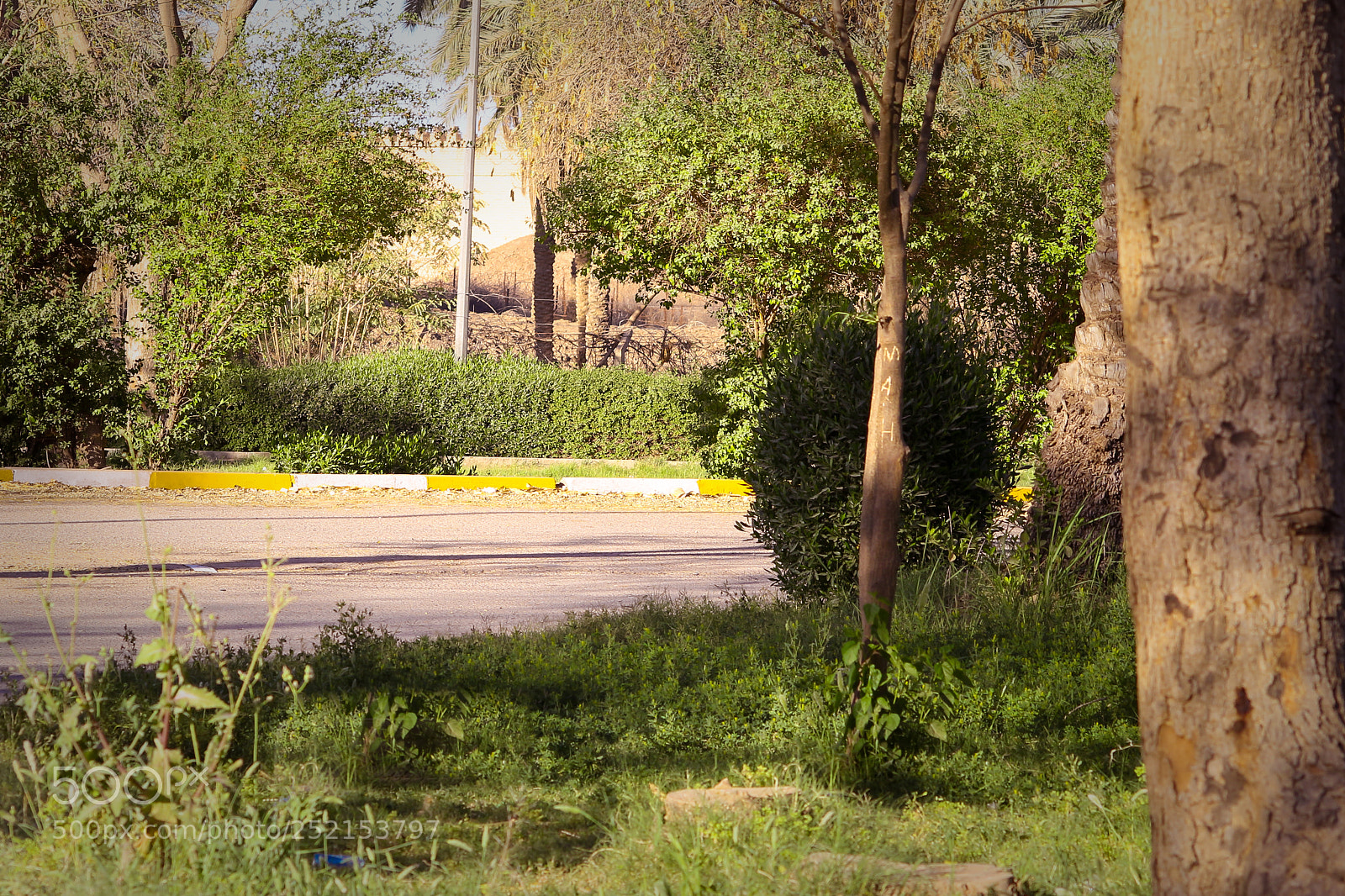Canon EOS 700D (EOS Rebel T5i / EOS Kiss X7i) sample photo. حدائق منتجع بابل السياحي photography