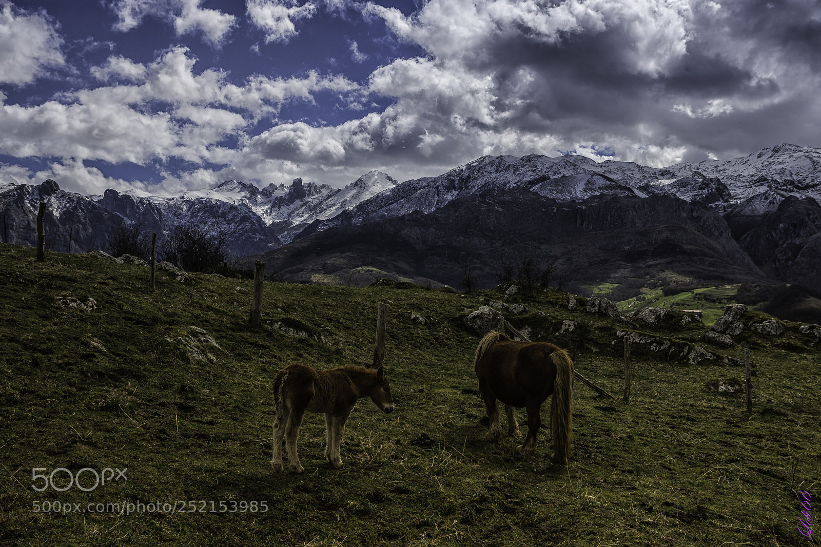 Nikon D7200 sample photo. Asturias photography