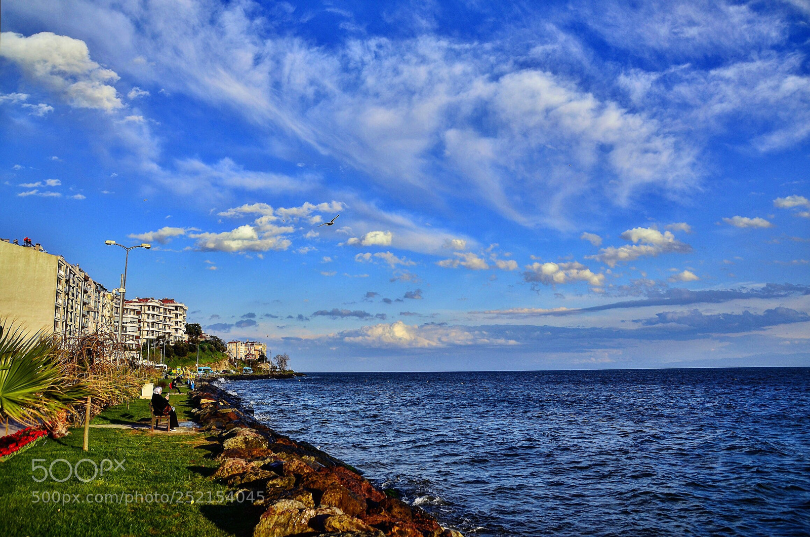 Nikon D7000 sample photo. Snp photography