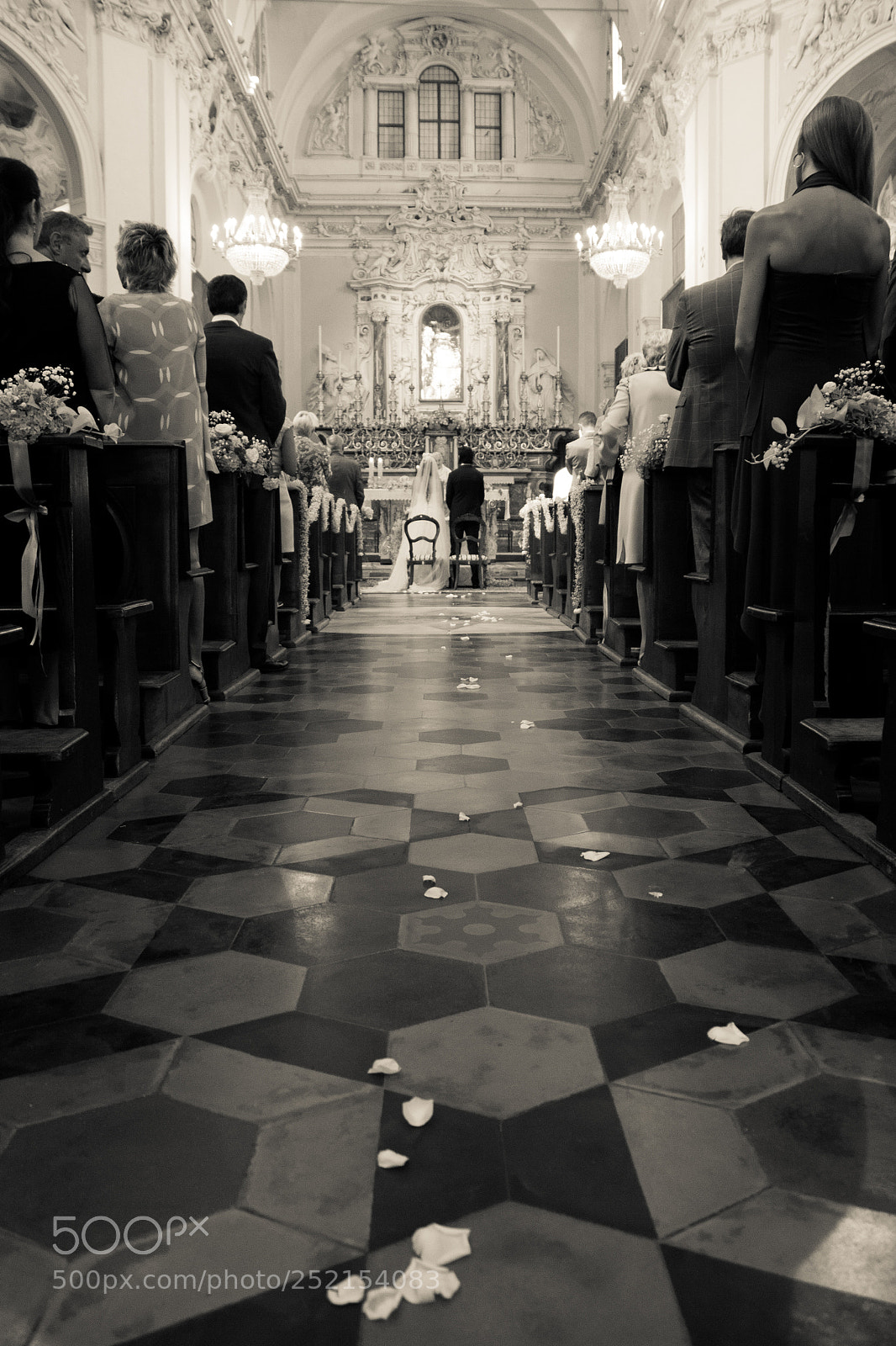 Canon EOS 50D sample photo. Untitled photography