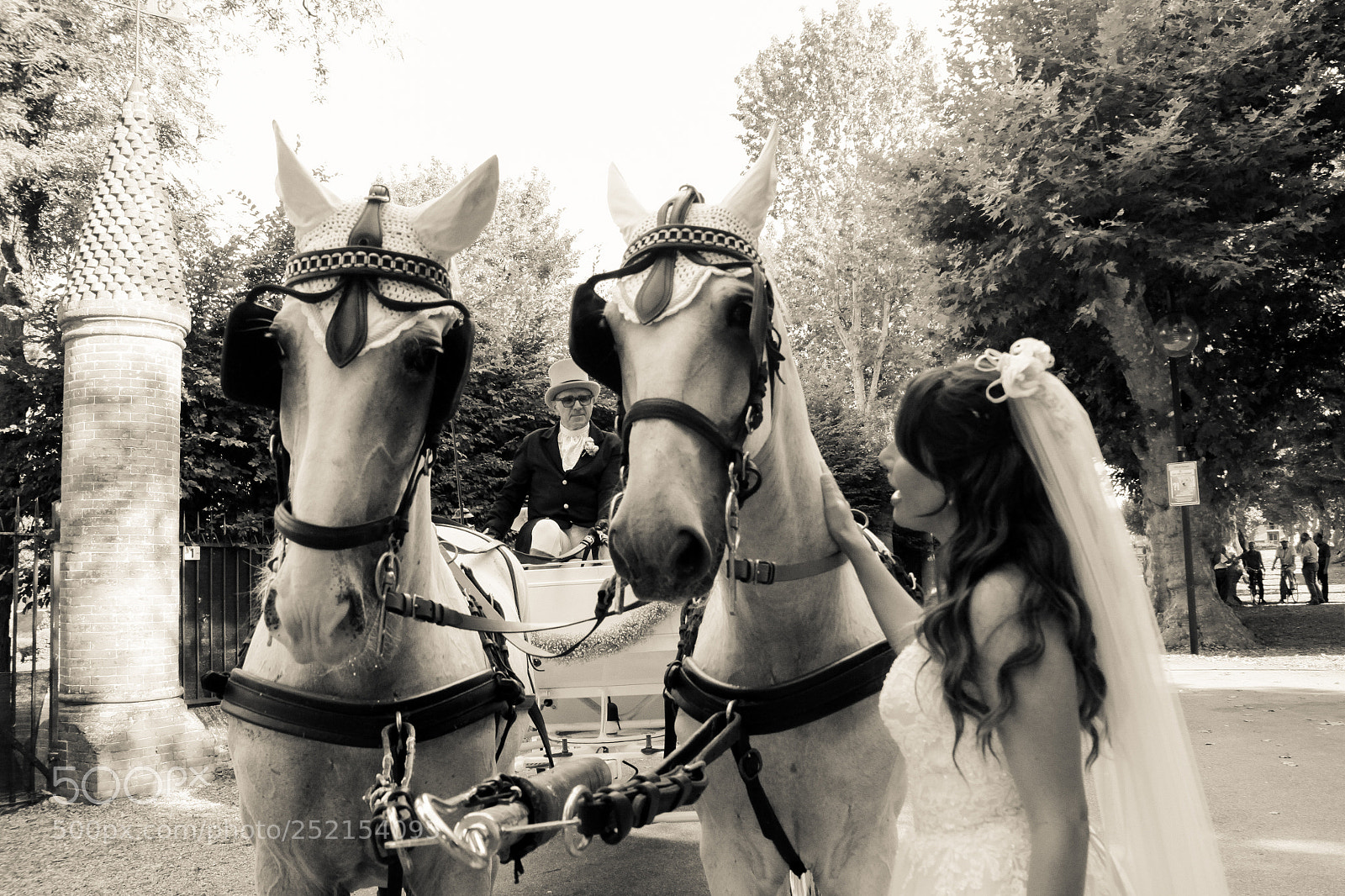 Canon EOS 50D sample photo. Untitled photography