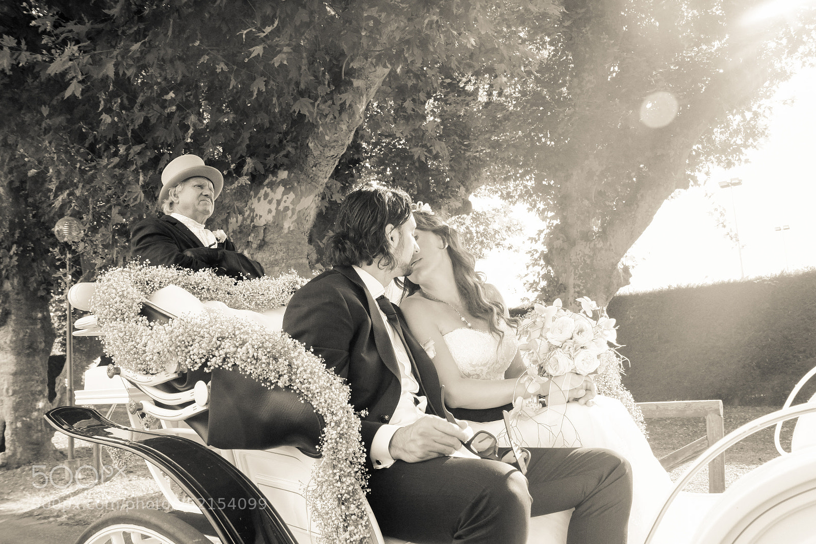 Canon EOS 50D sample photo. Untitled photography
