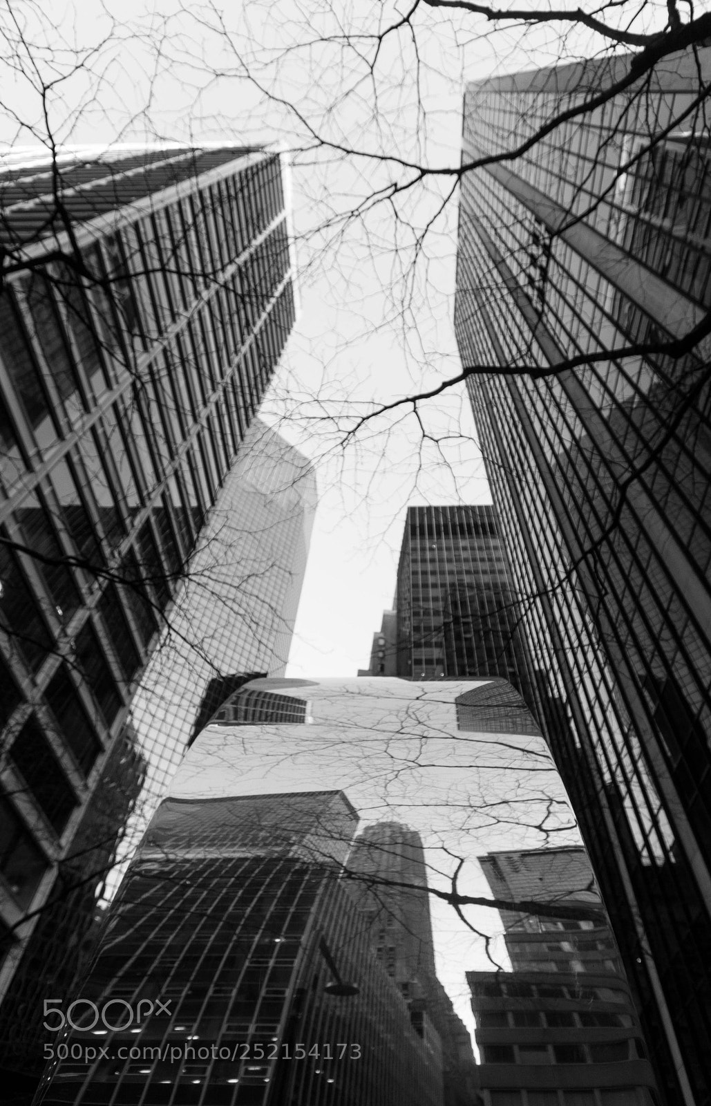 Nikon D90 sample photo. Water street reflection photography