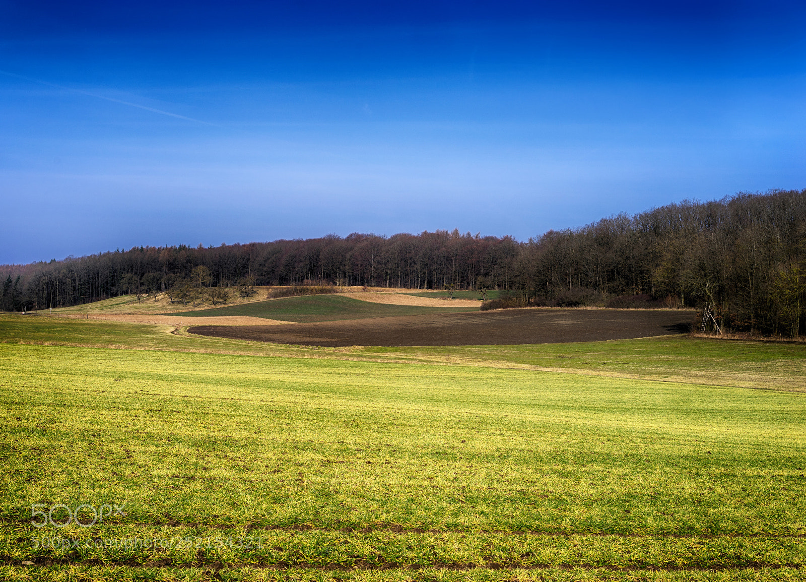 Sony a7 sample photo. Rural landscape view in photography