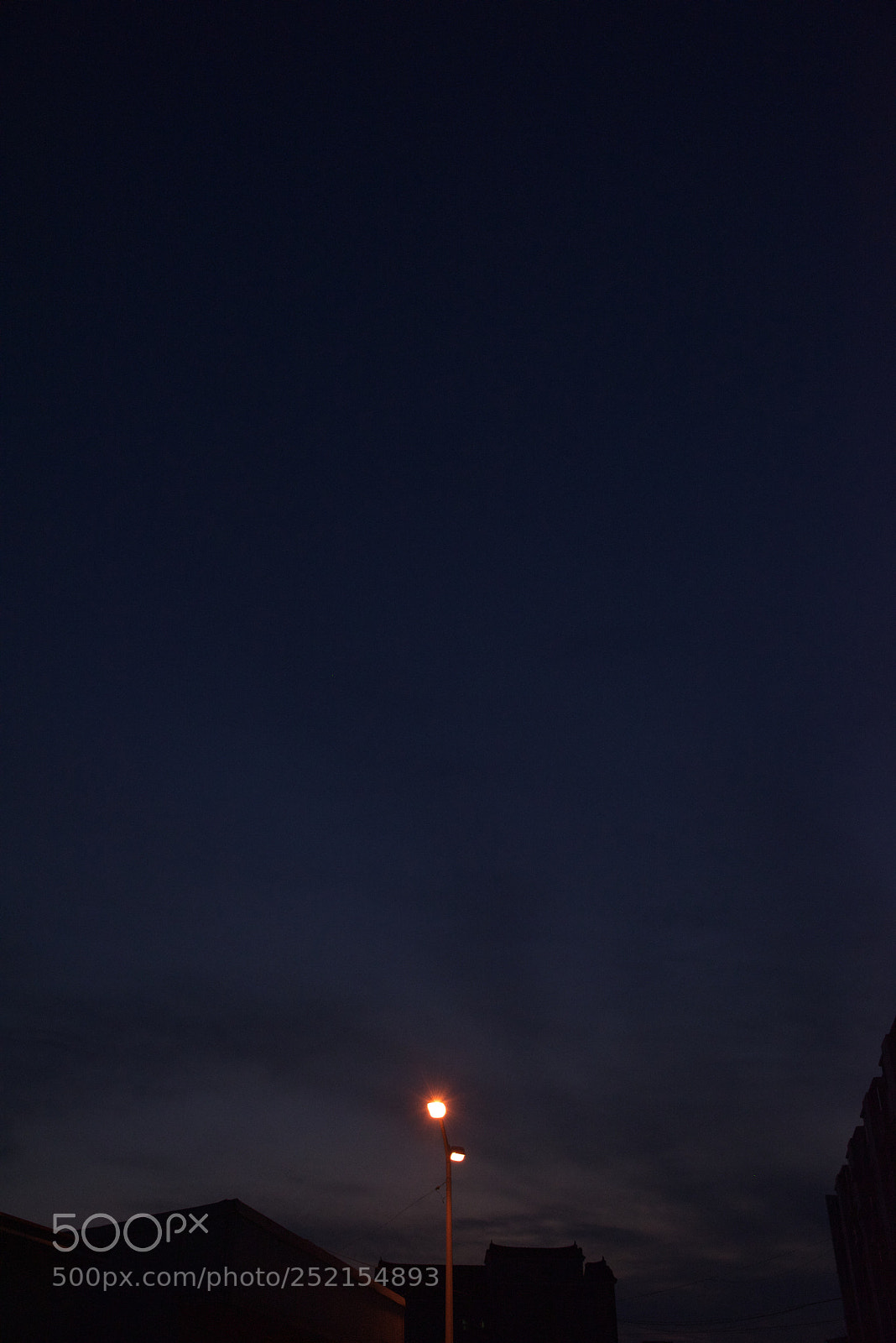 Nikon D810 sample photo. Untitled photography