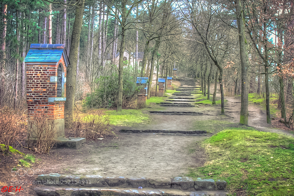Canon EOS 700D (EOS Rebel T5i / EOS Kiss X7i) sample photo. Little chapel photography
