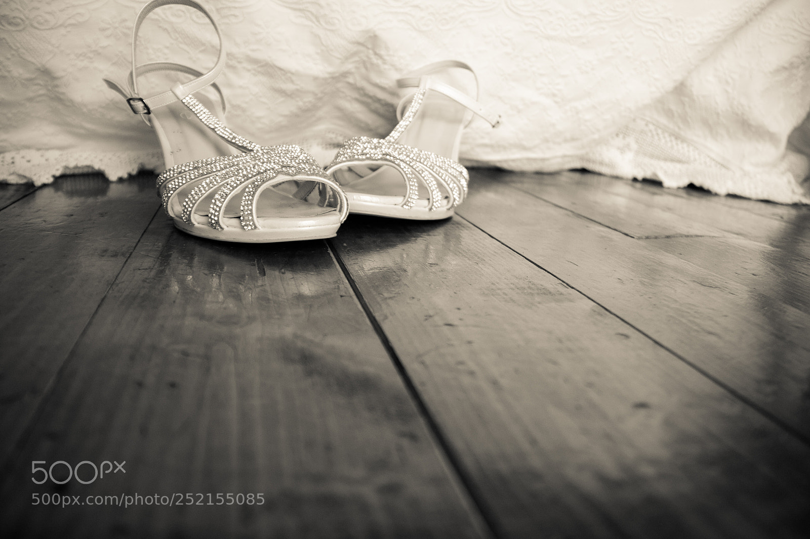 Canon EOS 50D sample photo. Untitled photography