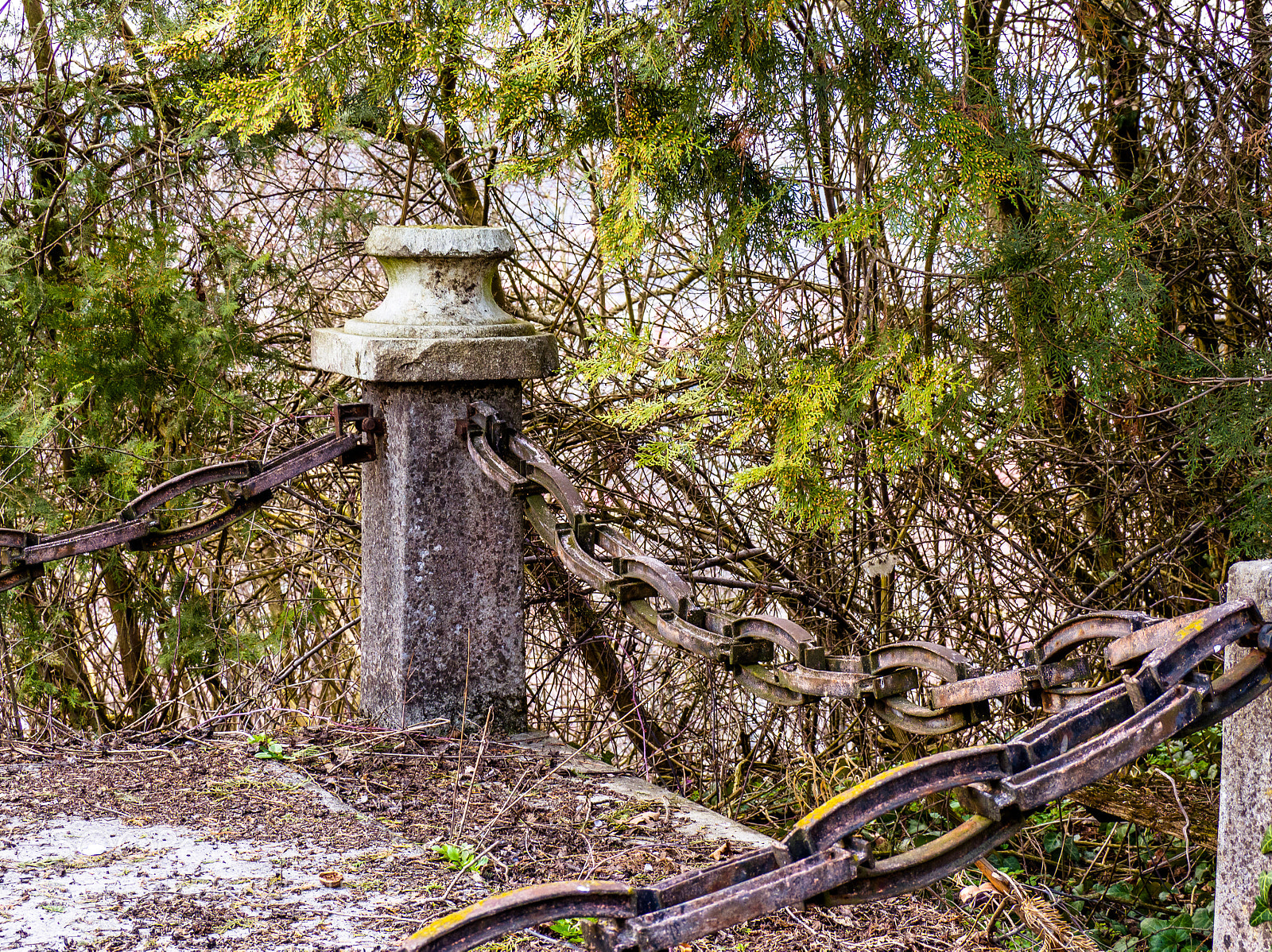 Olympus OM-D E-M10 sample photo. Chained memory photography