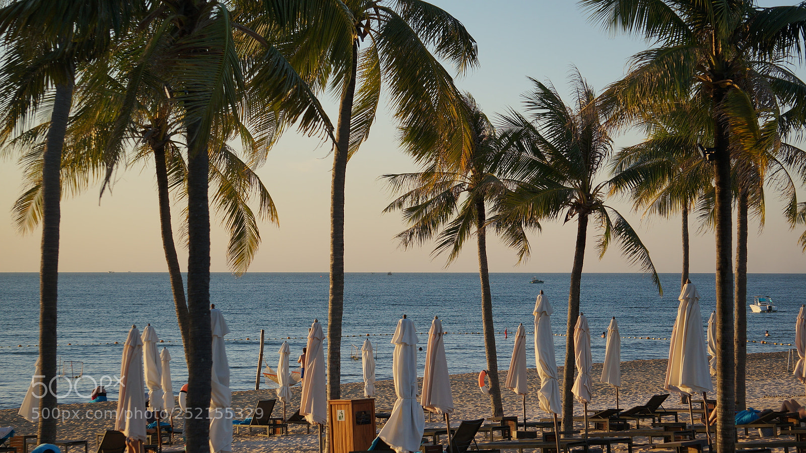 Sony Alpha NEX-5R sample photo. Windy afternoon on the photography