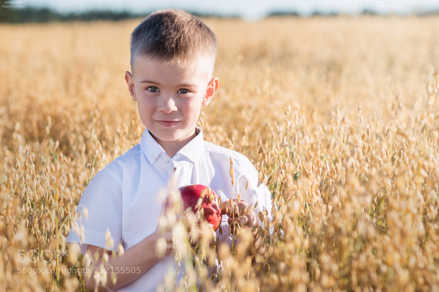 Sony a99 II sample photo. Cерёжка photography