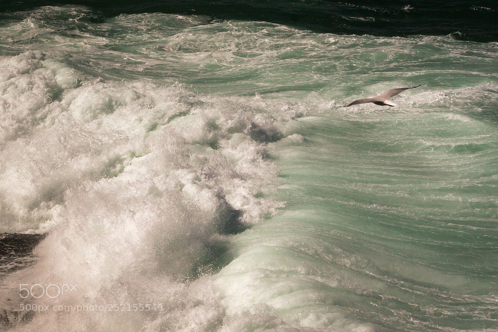 Canon EOS 20D sample photo. Ruler of the waves photography
