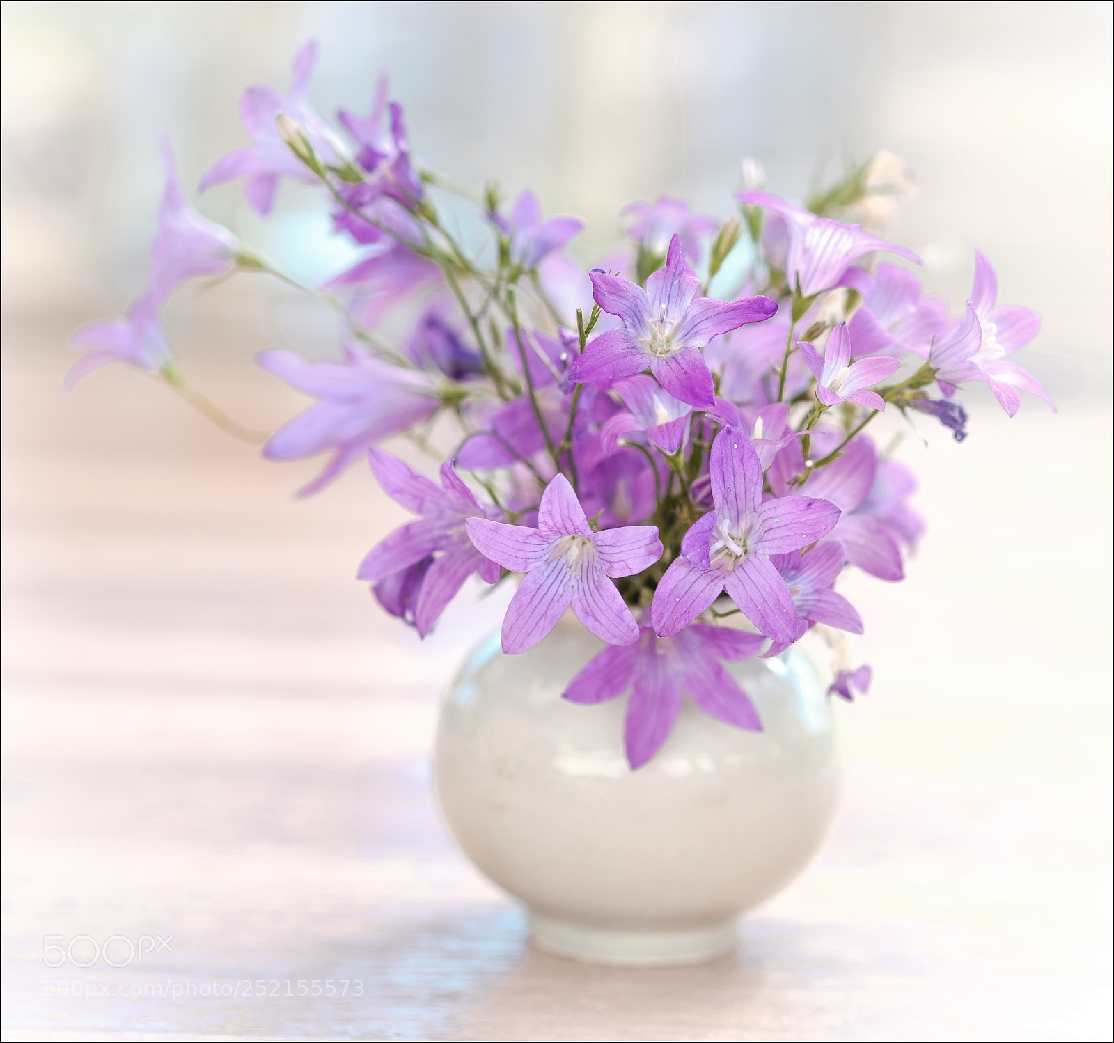 Fujifilm X-T2 sample photo. Bells photography