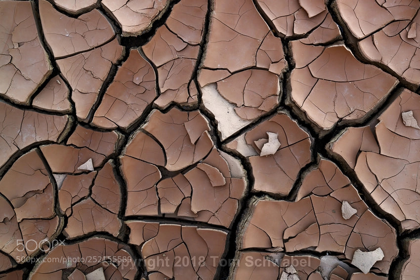 Nikon D850 sample photo. Shattered photography