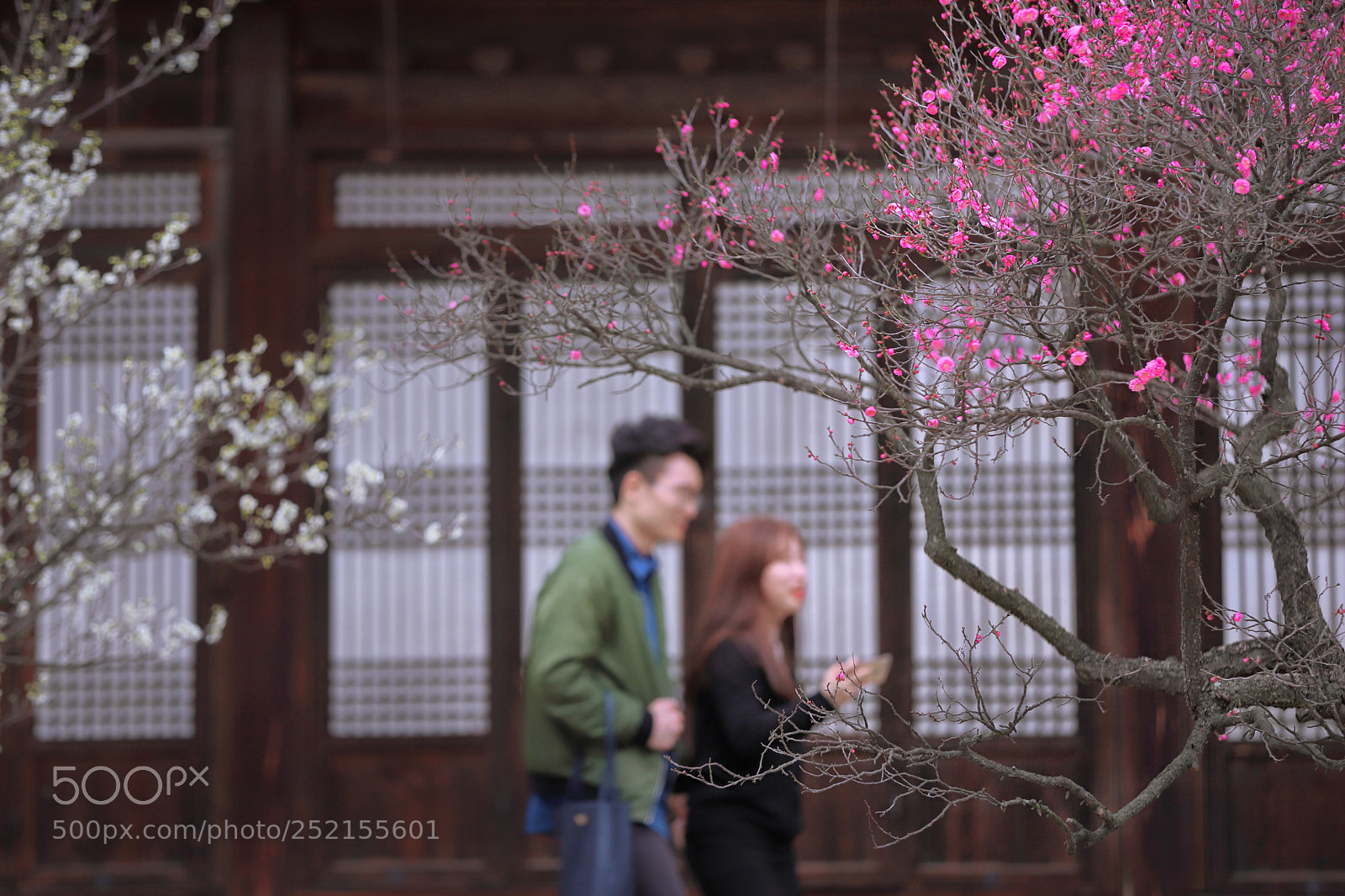 Canon EOS 6D Mark II sample photo. Visitors  photography
