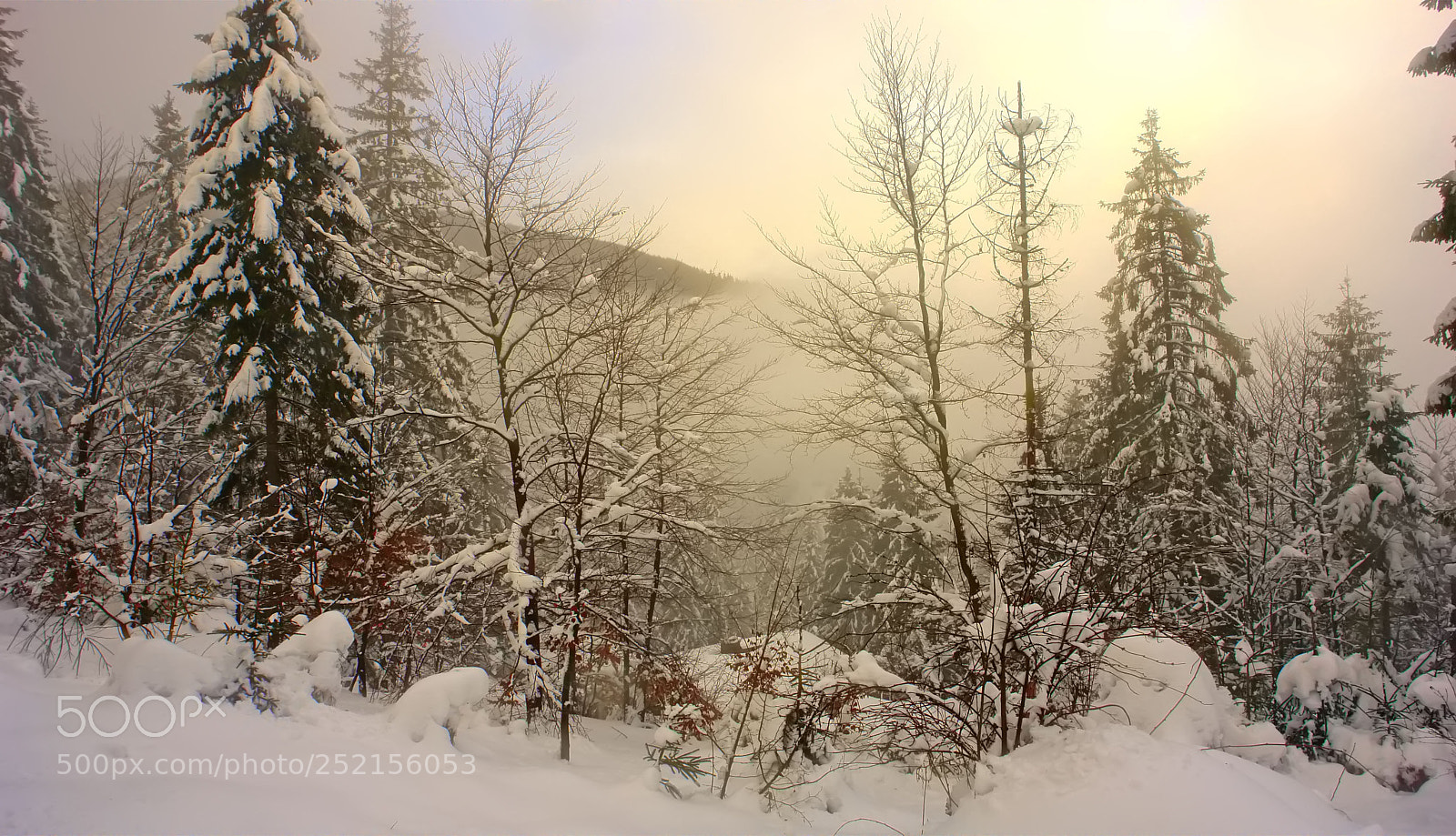 Sony DSC-R1 sample photo. Ukraine, the carpathians photography