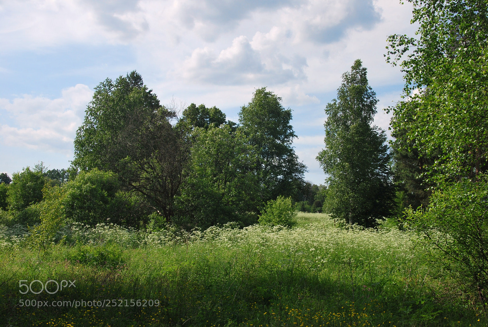 Nikon D60 sample photo. Adccaorig photography