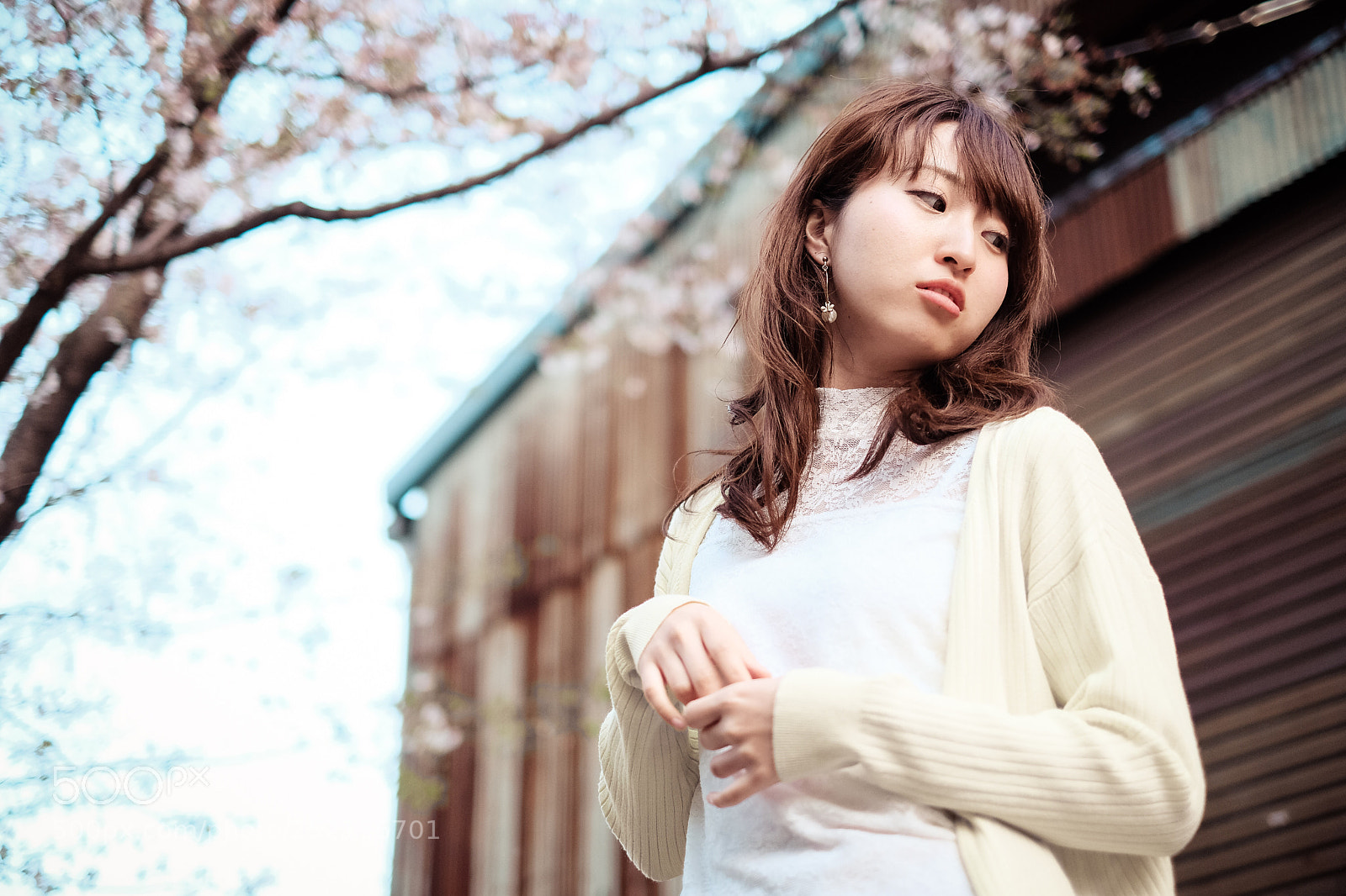Fujifilm X-T2 sample photo. Untitled photography