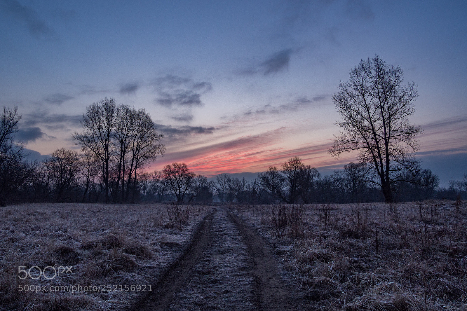 Olympus OM-D E-M10 II sample photo. Countryside’s sunrise photography
