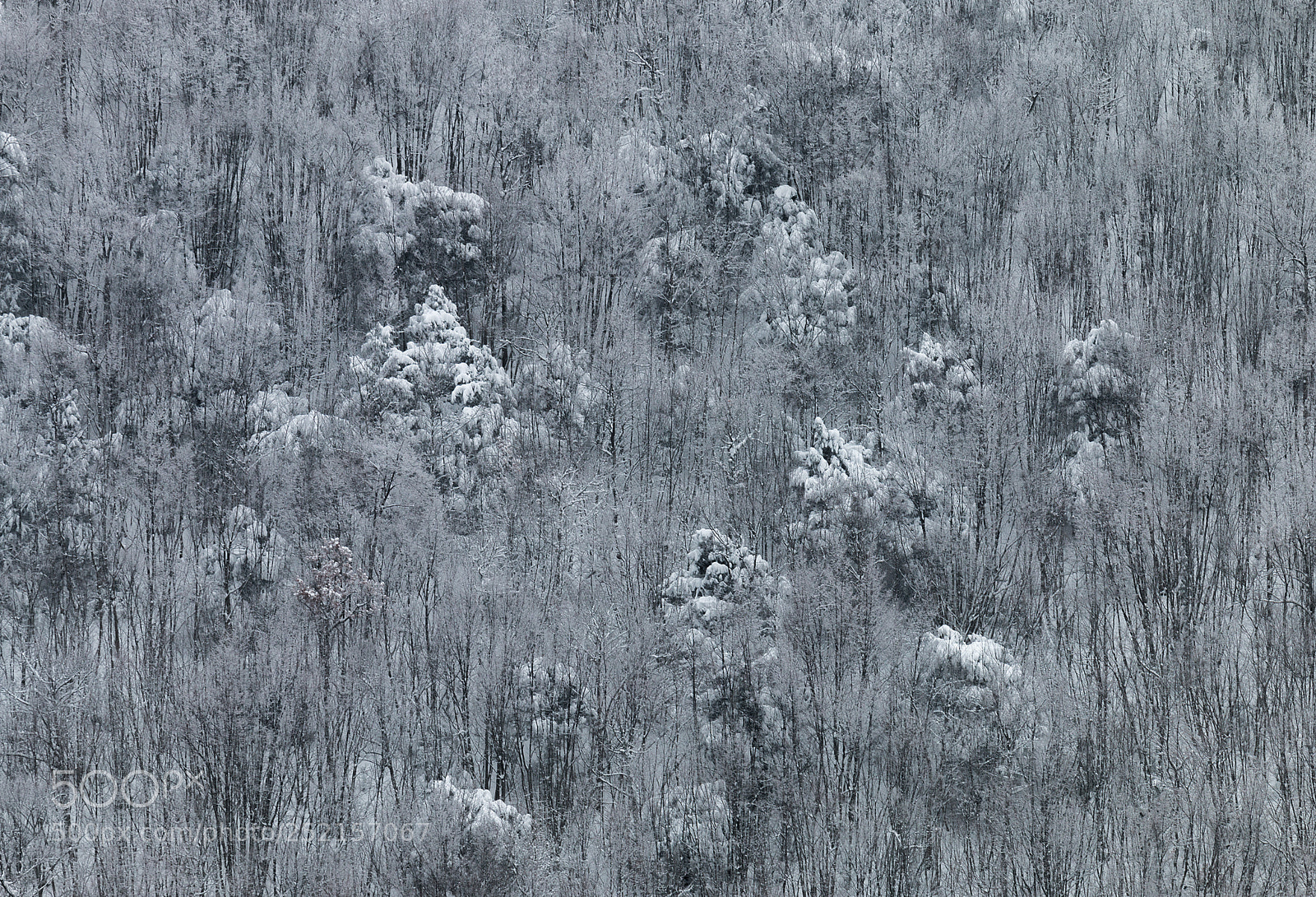 Canon EOS 70D sample photo. Frozen. . photography