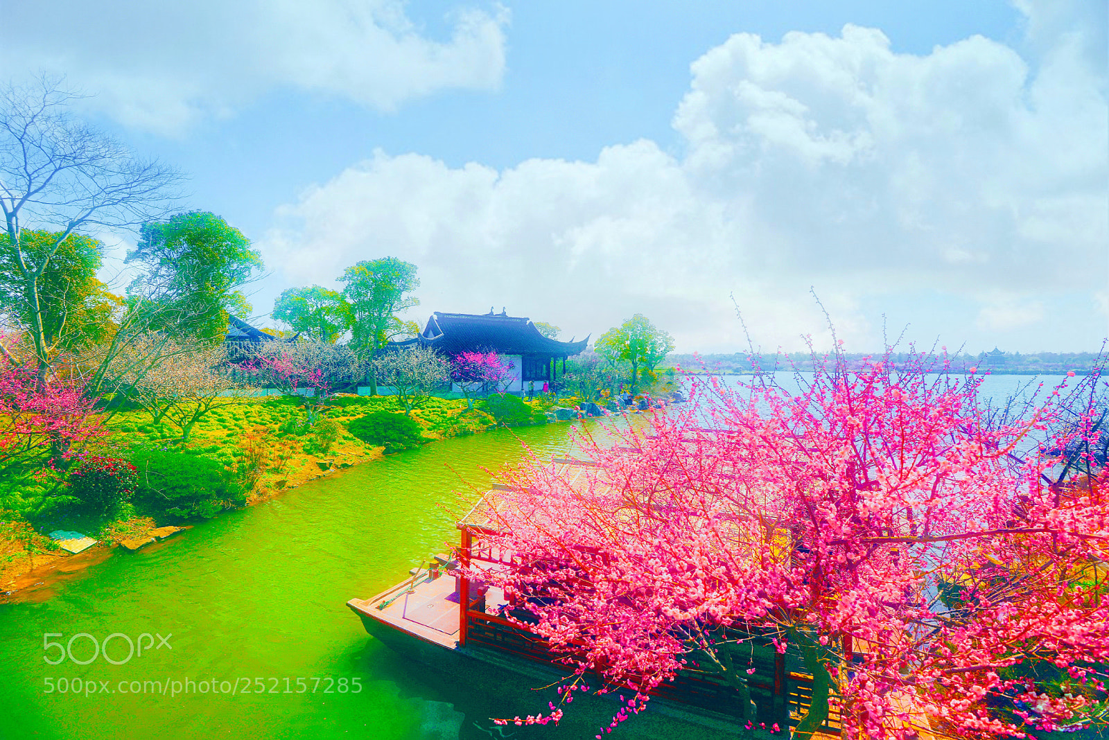 Nikon D800 sample photo. 梅花 photography