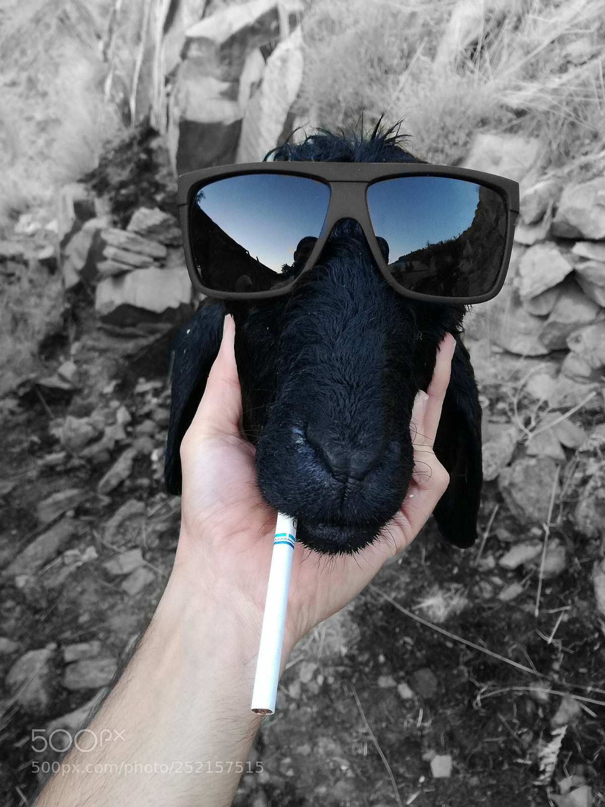 HUAWEI P9 LITE sample photo. Afterlife photography
