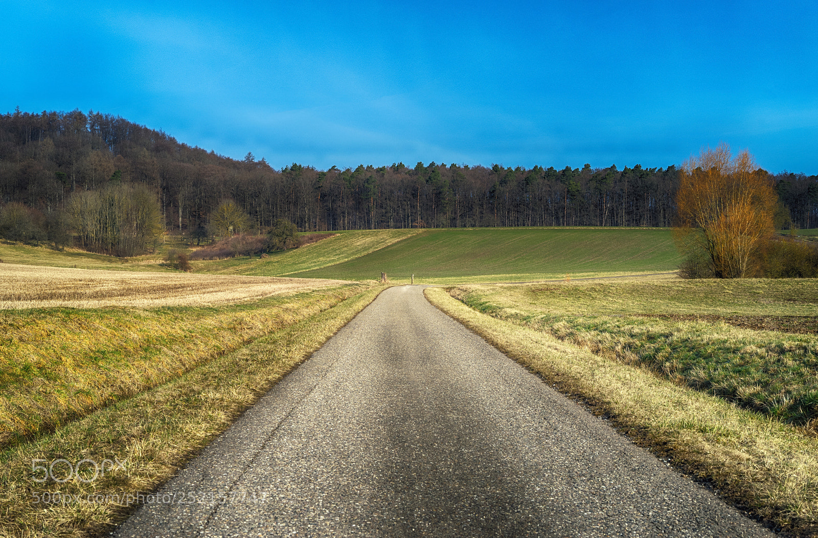 Sony a7 sample photo. Rural landscape view in photography