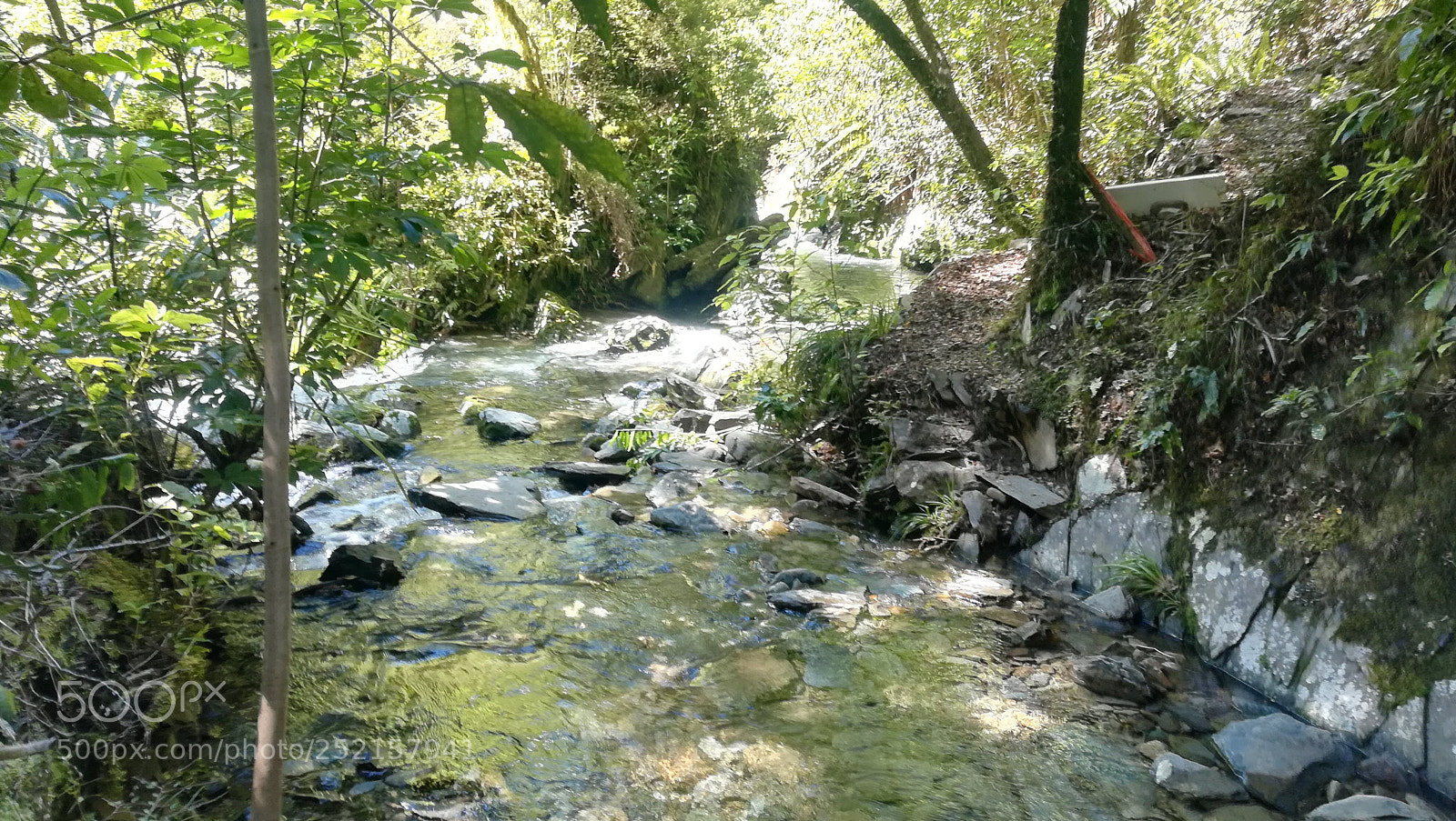 HUAWEI P10 lite sample photo. Stream photography