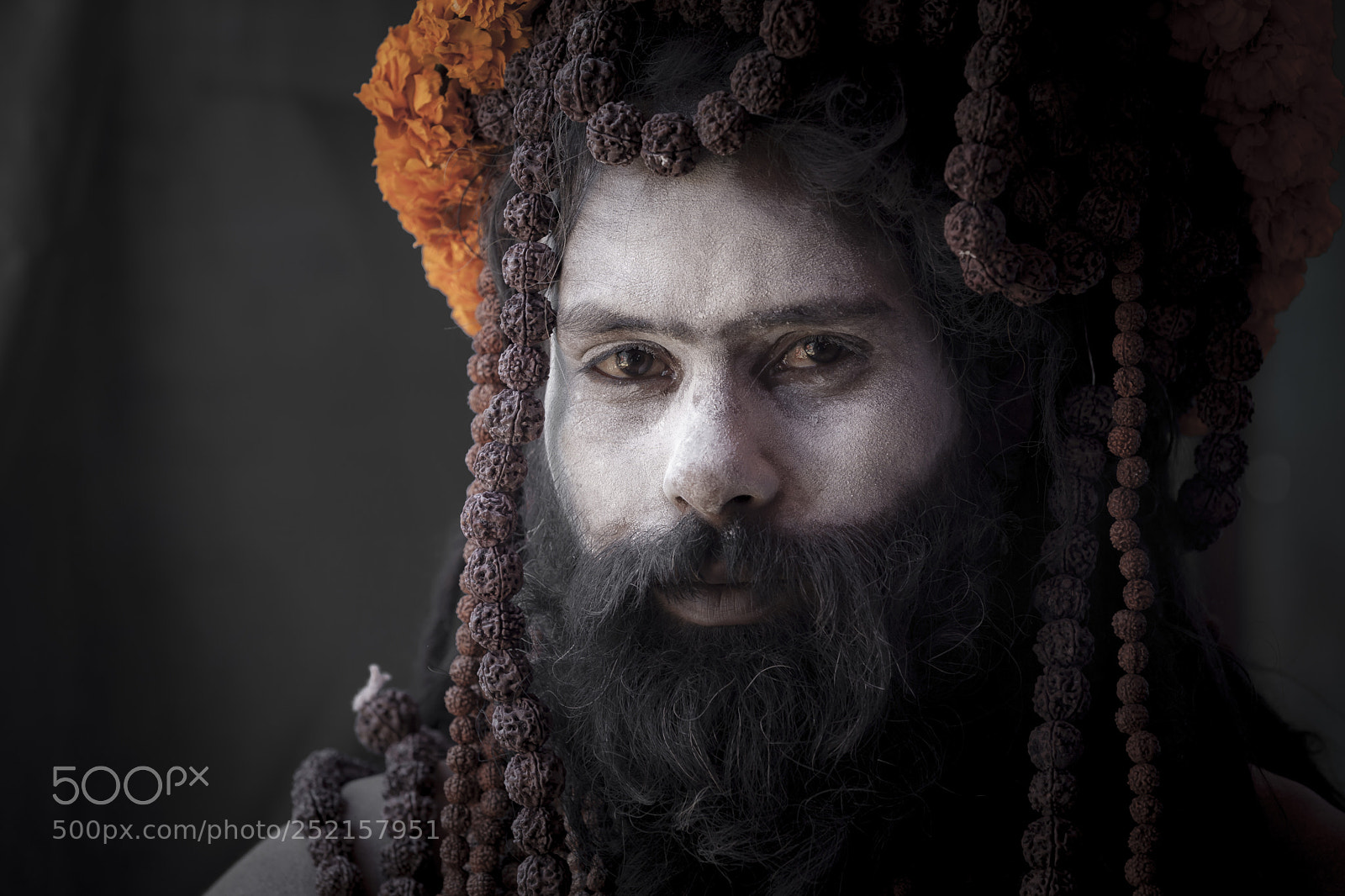 Canon EOS 5D Mark II sample photo. Naga sadhu photography