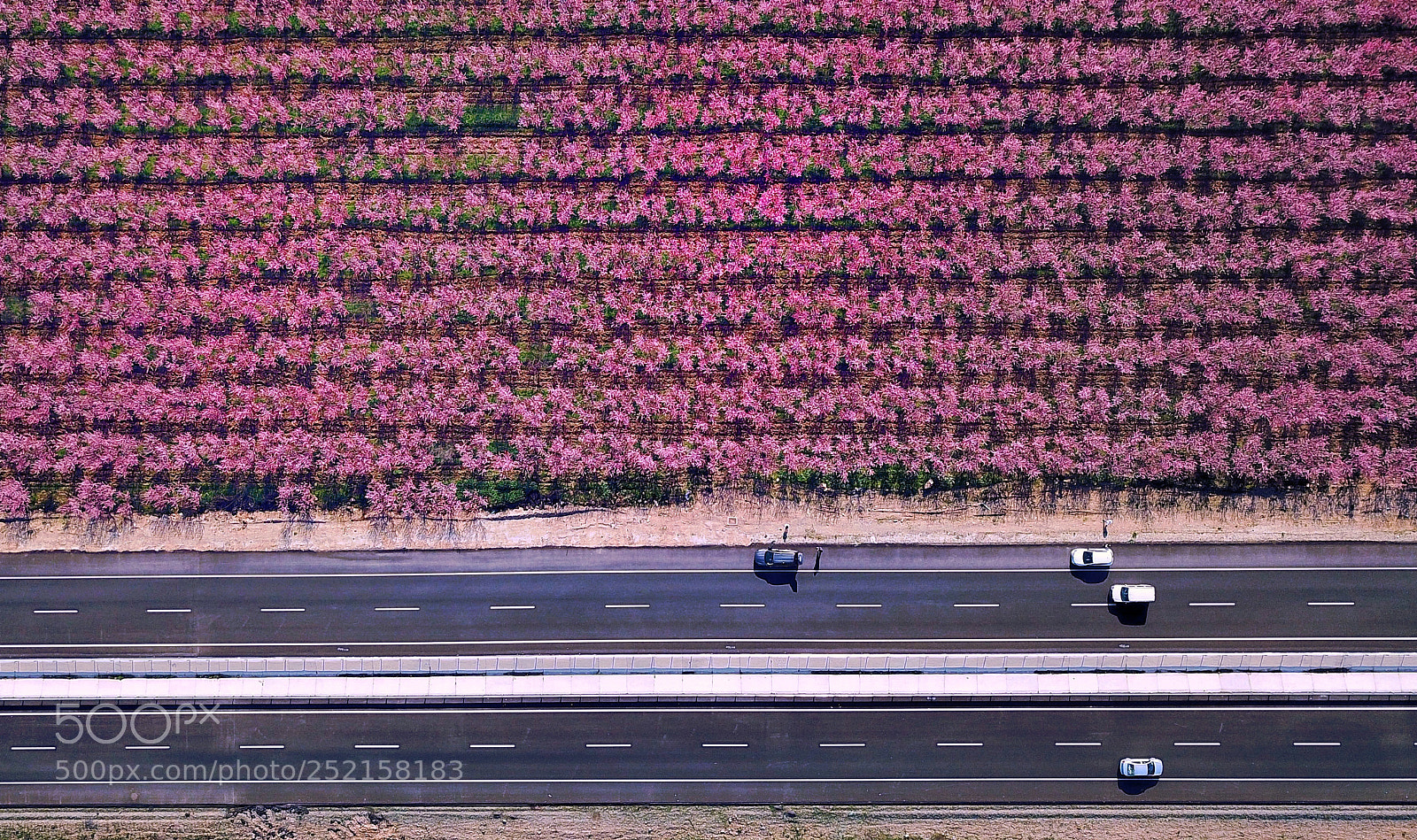 DJI FC220 sample photo. Untitled photography