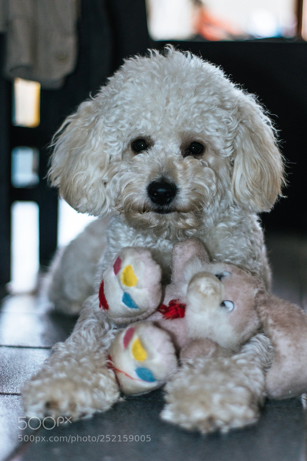 Nikon D3200 sample photo. Peluchito! photography