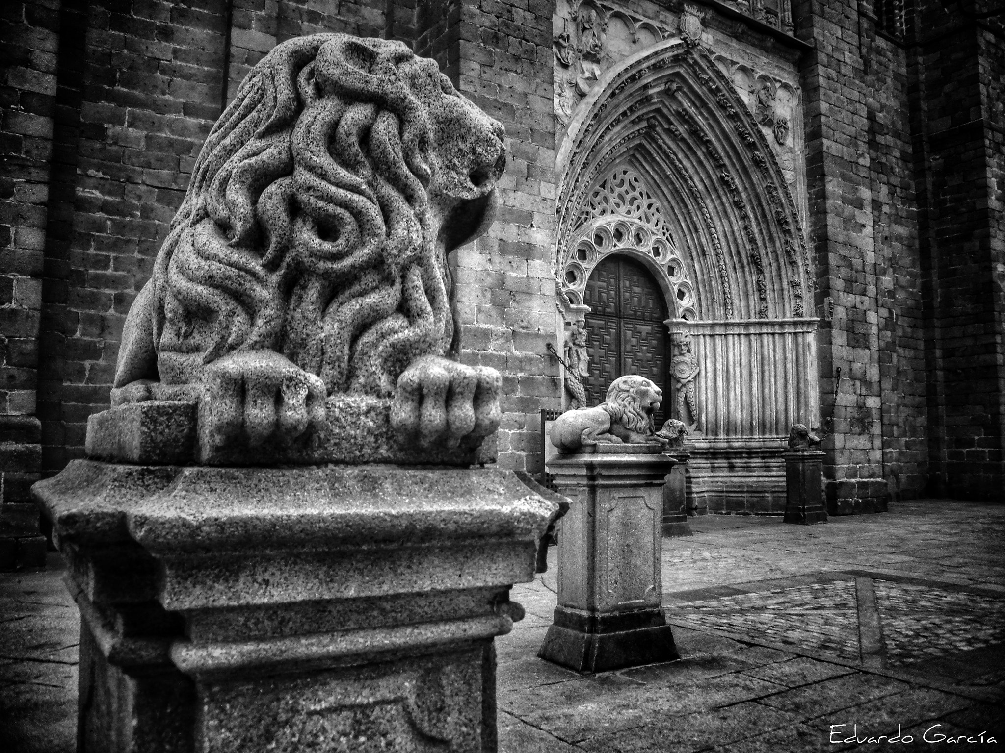 Nikon Coolpix P6000 sample photo. Leones photography