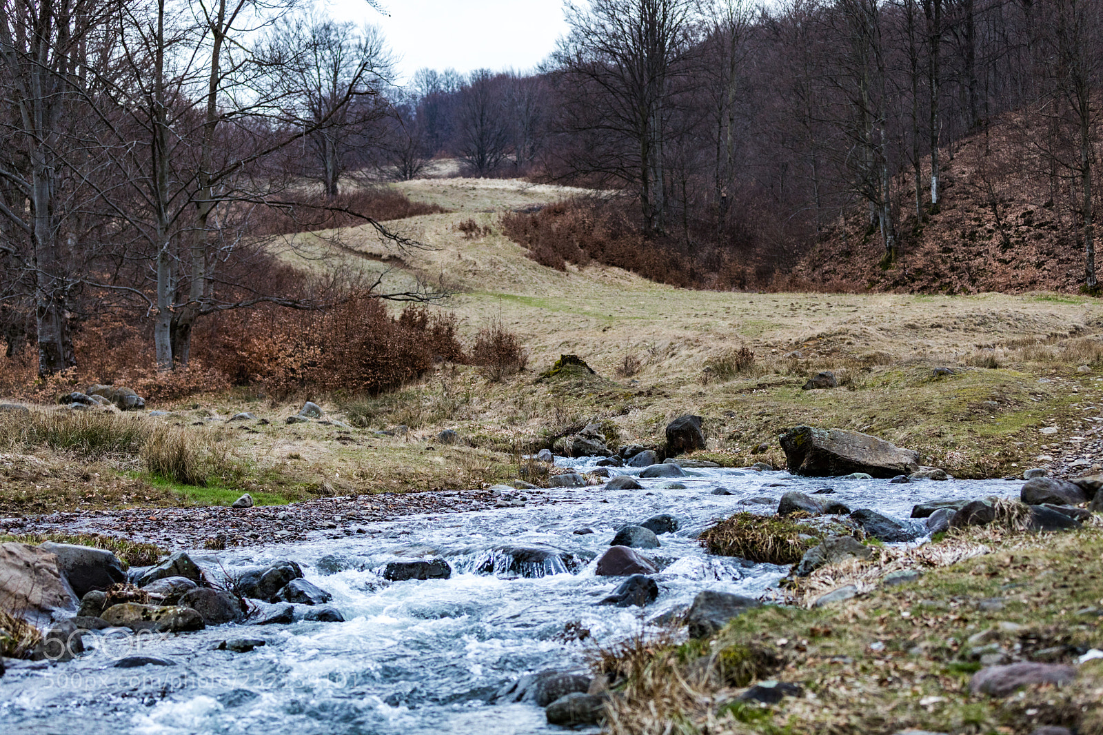 Canon EOS 5D Mark IV sample photo. Oa photography