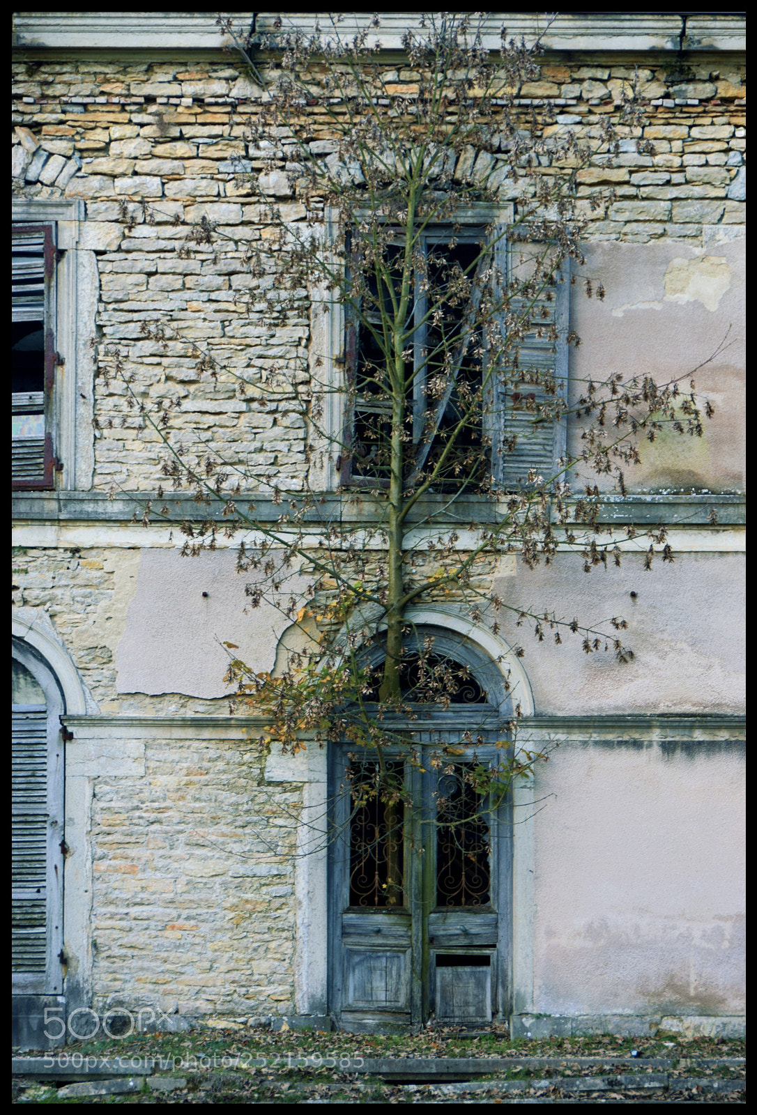 Nikon D3300 sample photo. Dsc photography