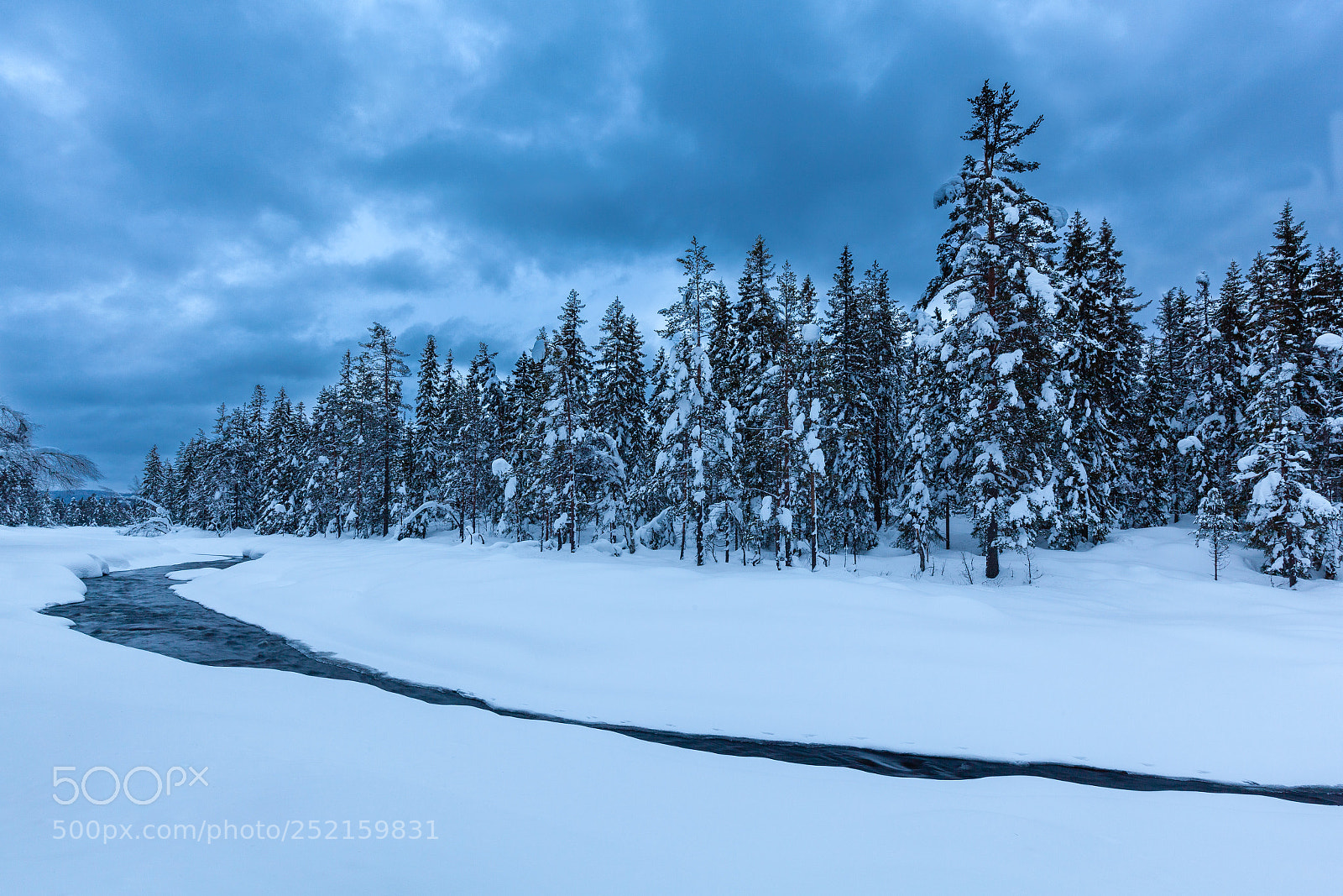 Canon EOS 5D Mark II sample photo. Winter photography