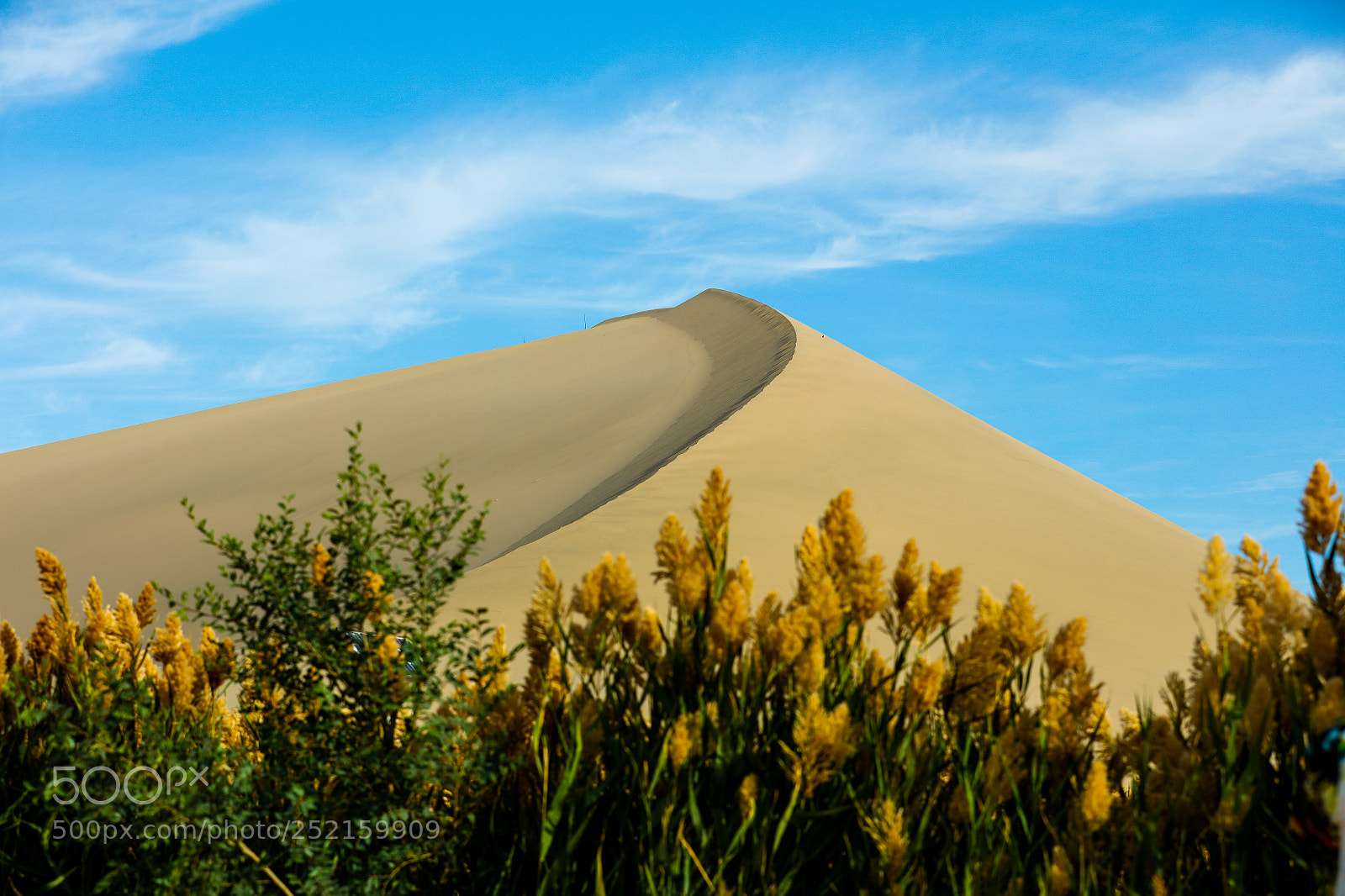 Canon EOS 5DS R sample photo. 尖峰时刻 photography