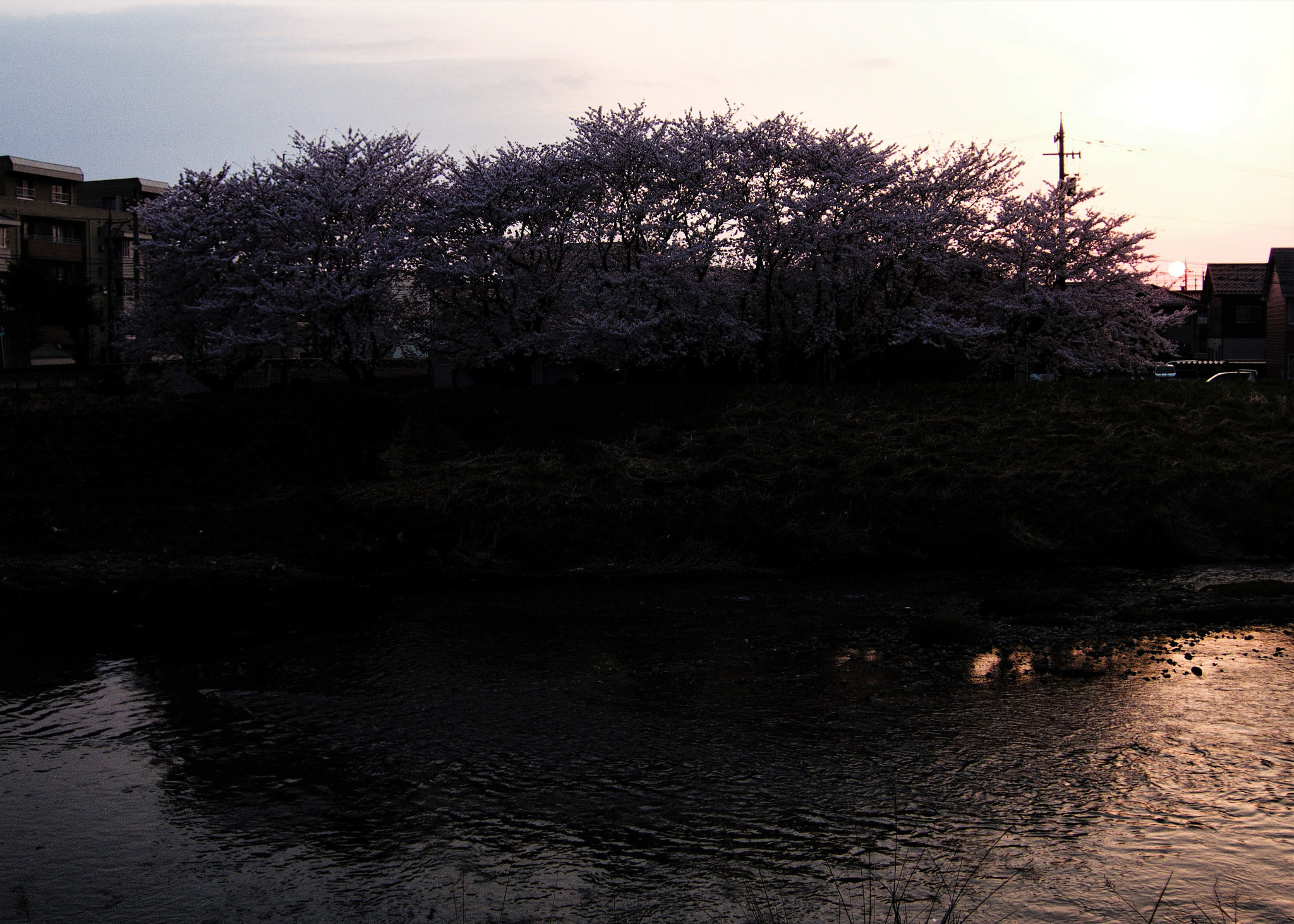 Fujifilm XQ1 sample photo. Dusk of spring photography