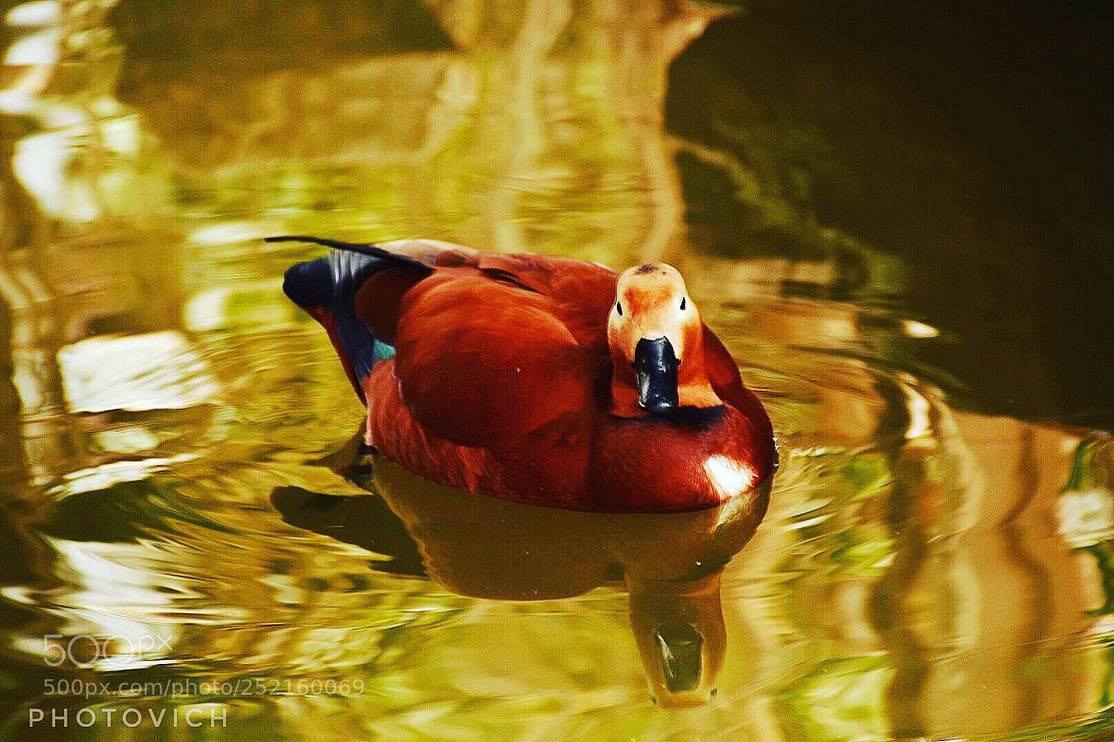 Nikon D5300 sample photo. Untitled photography