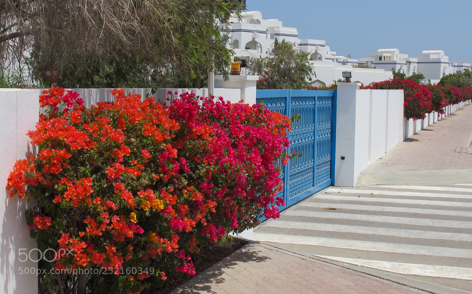 Canon PowerShot G12 sample photo. Oman photography