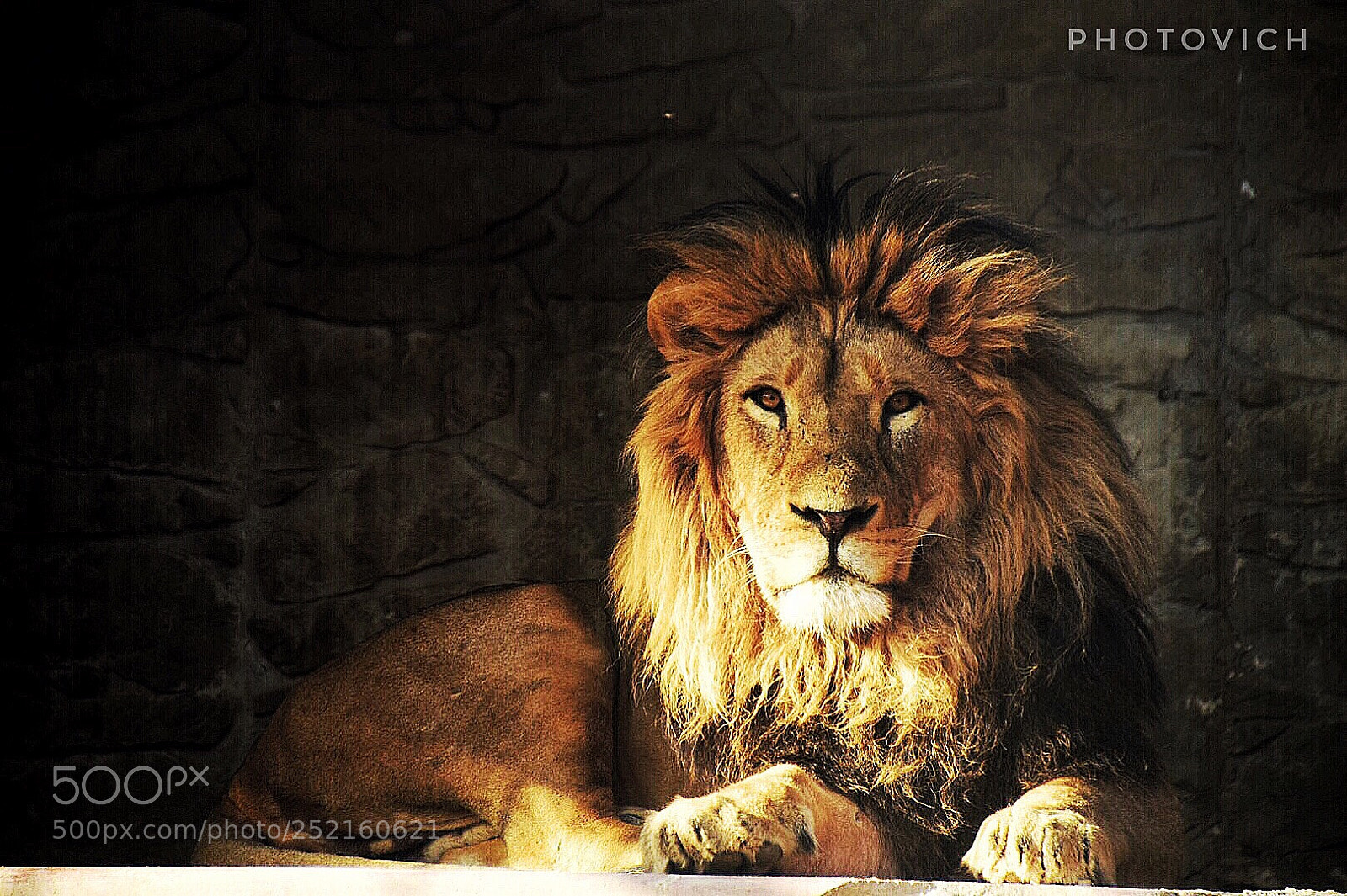 Nikon D5300 sample photo. Untitled photography