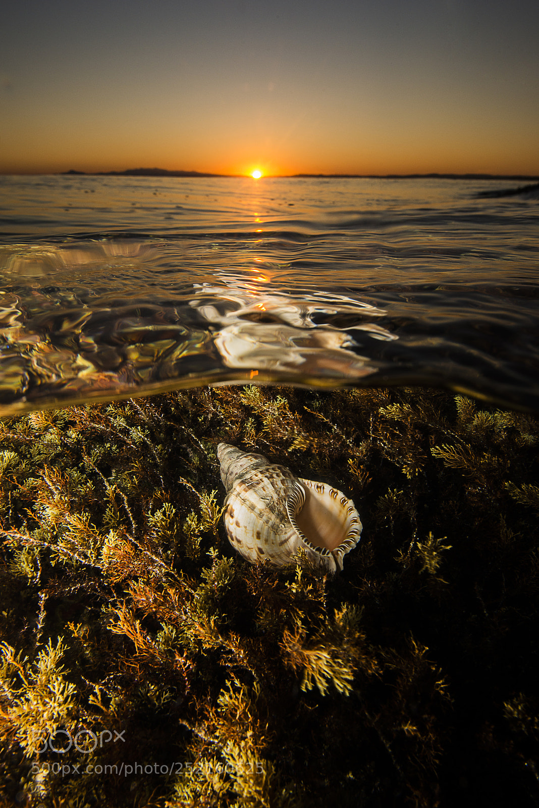 Nikon D800E sample photo. The magic sea photography